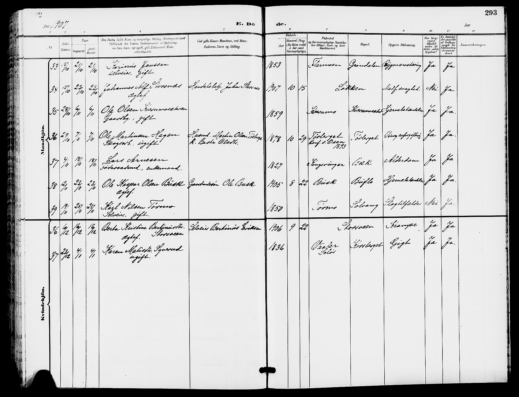 Trysil prestekontor, SAH/PREST-046/H/Ha/Hab/L0006: Parish register (copy) no. 6, 1896-1912, p. 293