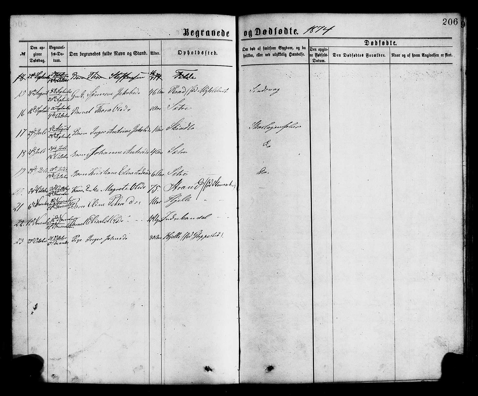 Gloppen sokneprestembete, SAB/A-80101/H/Hab/Habc/L0001: Parish register (copy) no. C 1, 1872-1896, p. 206