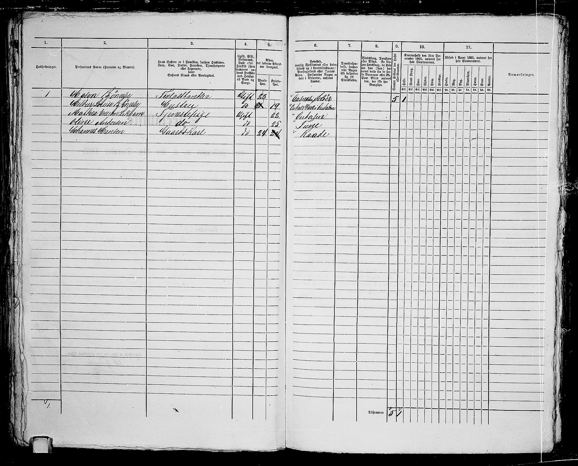 RA, 1865 census for Fredrikstad/Fredrikstad, 1865, p. 202