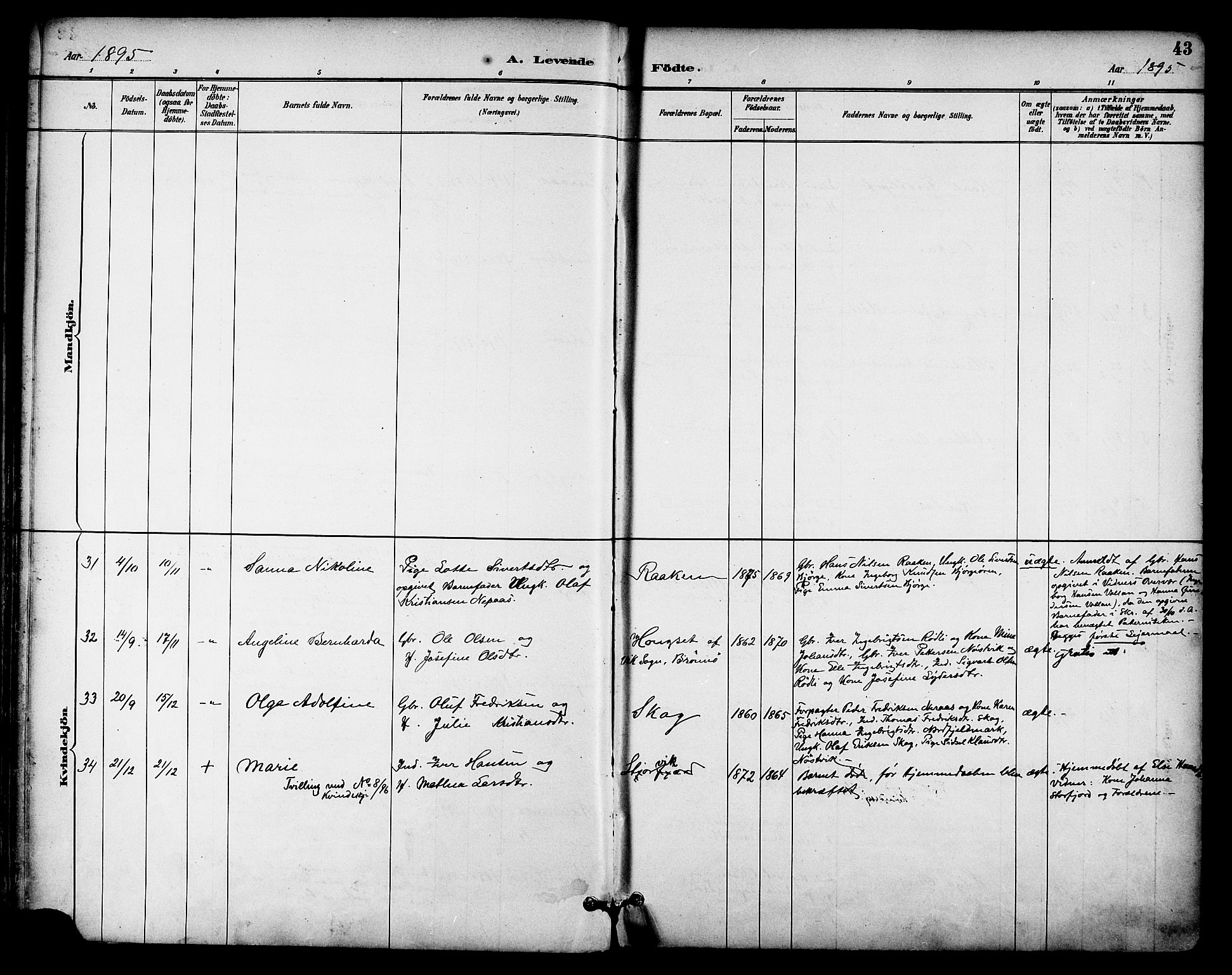 Ministerialprotokoller, klokkerbøker og fødselsregistre - Nordland, AV/SAT-A-1459/814/L0226: Parish register (official) no. 814A07, 1886-1898, p. 43