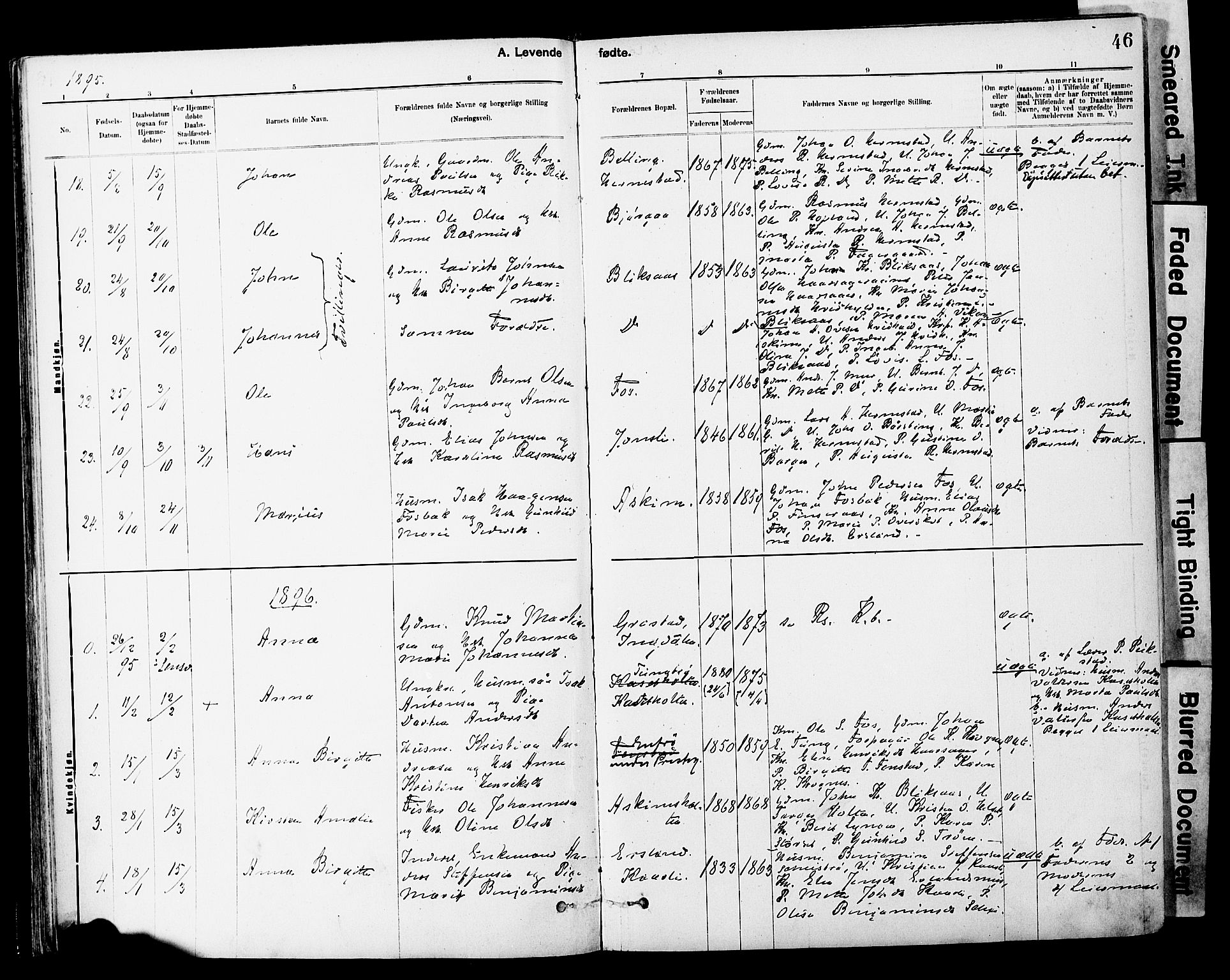 Ministerialprotokoller, klokkerbøker og fødselsregistre - Sør-Trøndelag, AV/SAT-A-1456/646/L0615: Parish register (official) no. 646A13, 1885-1900, p. 46