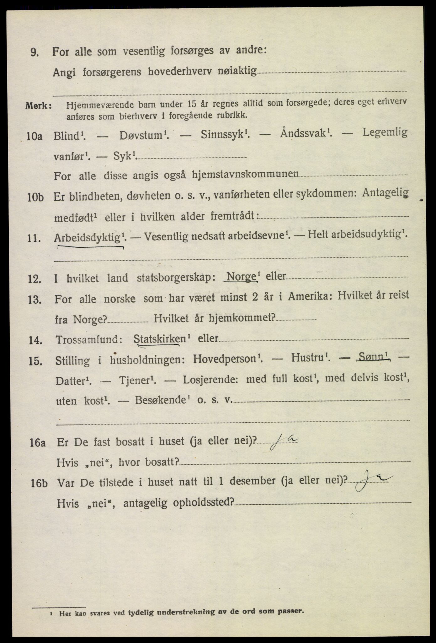 SAH, 1920 census for Nes (Hedmark), 1920, p. 8273