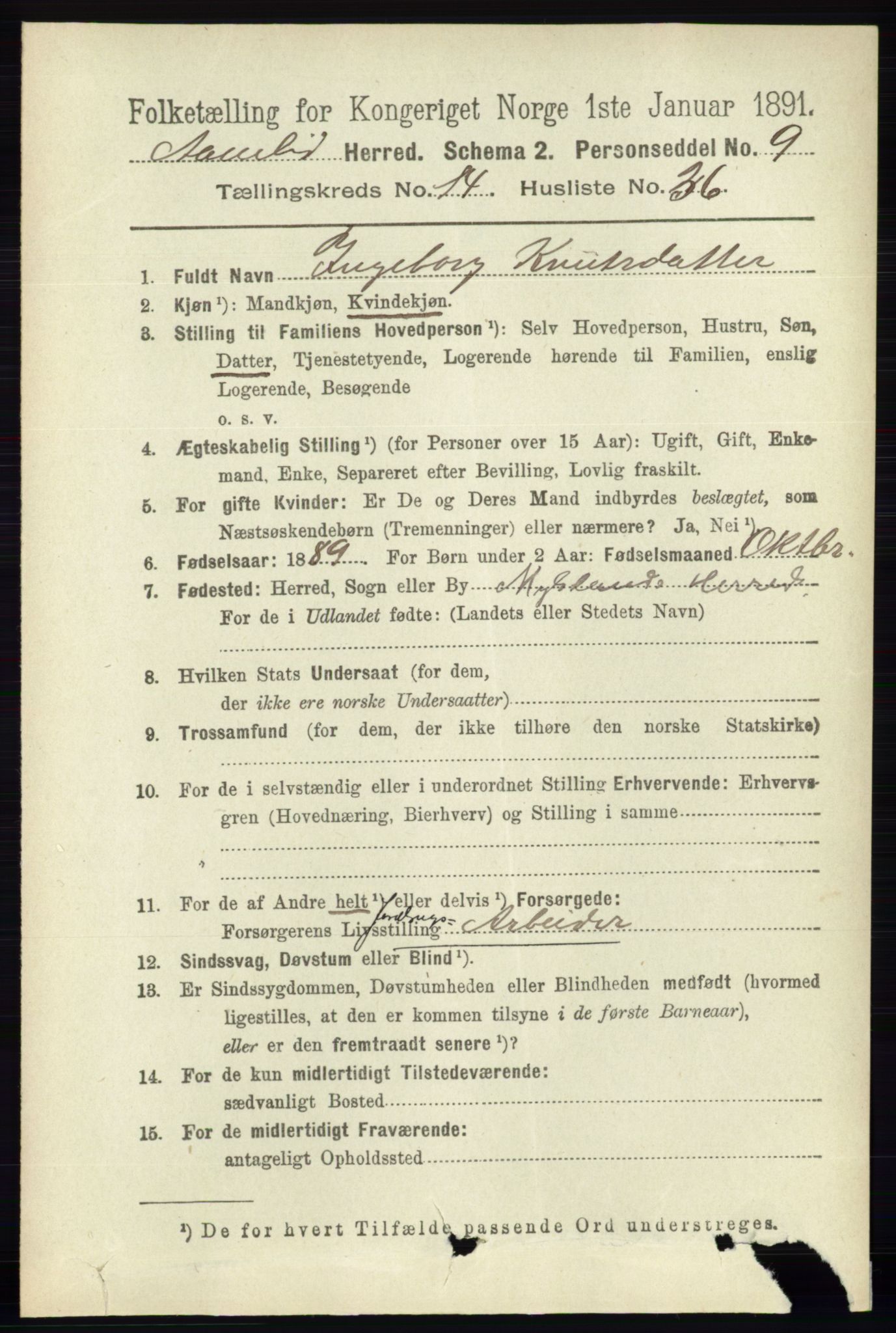 RA, 1891 census for 0929 Åmli, 1891, p. 2516