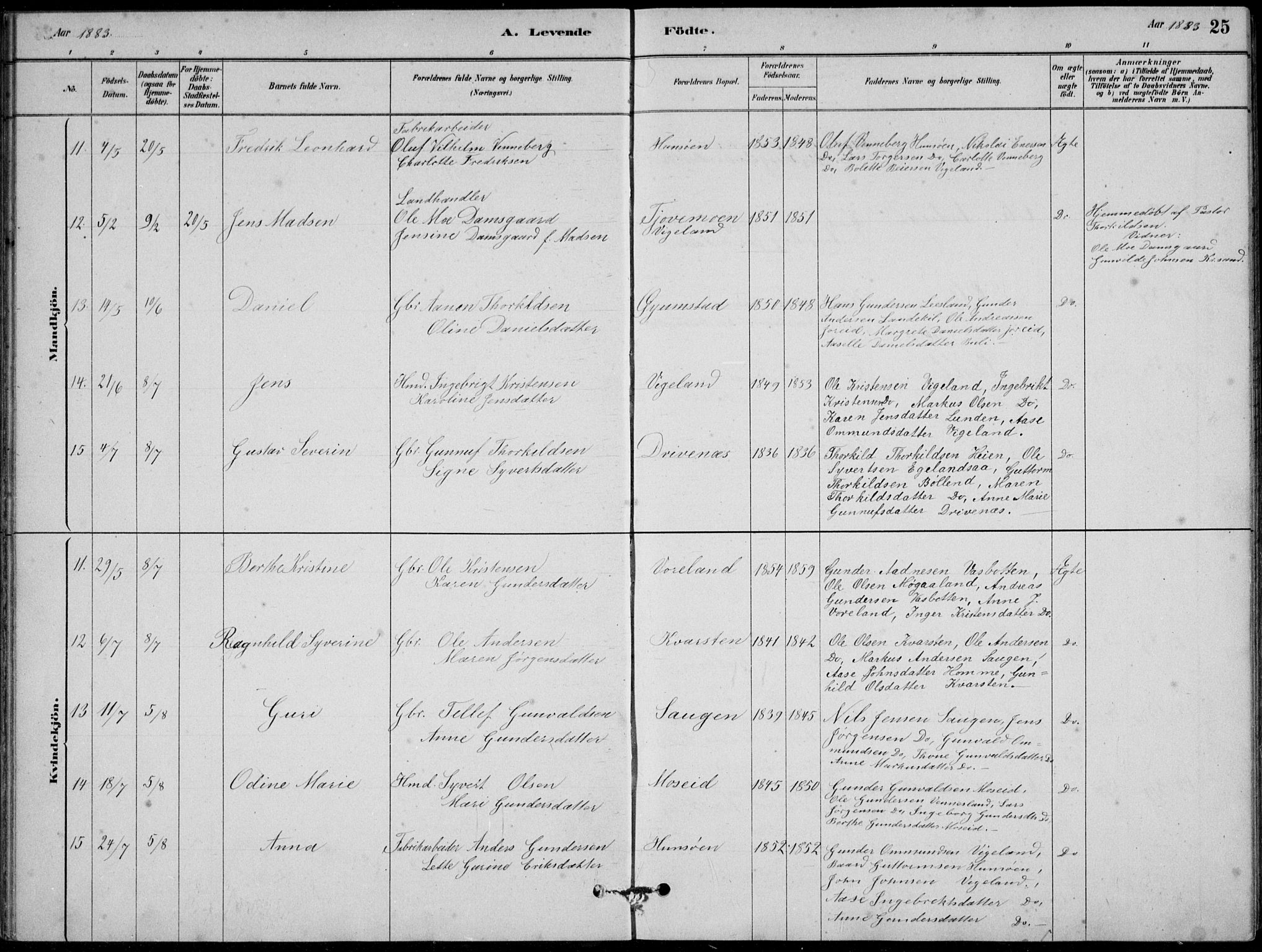 Vennesla sokneprestkontor, AV/SAK-1111-0045/Fb/Fbb/L0003: Parish register (copy) no. B 3, 1879-1893, p. 25