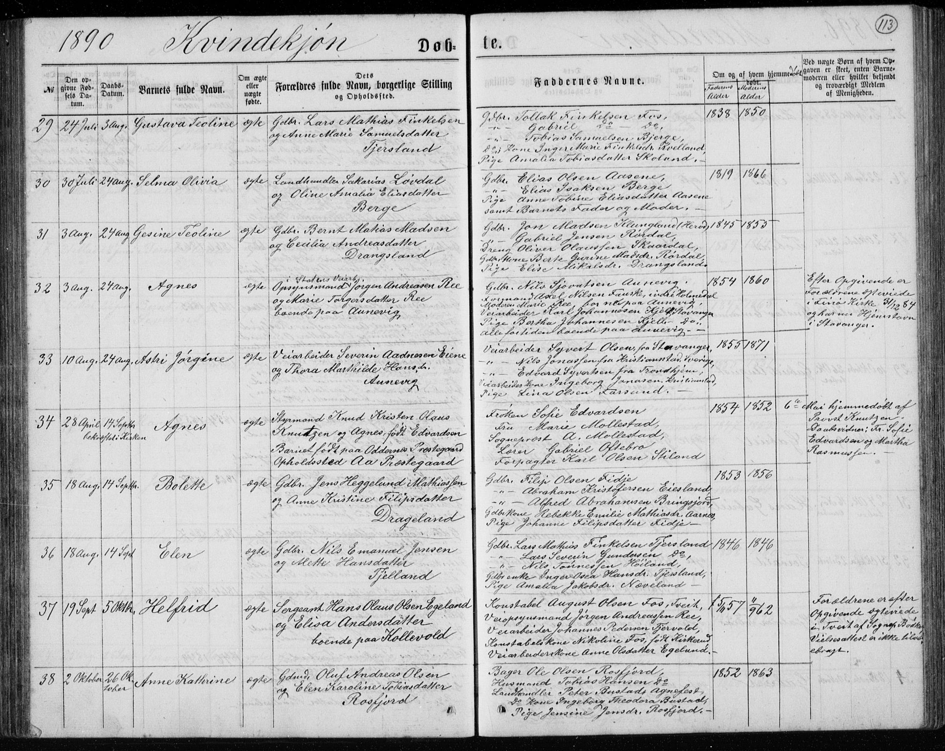 Lyngdal sokneprestkontor, AV/SAK-1111-0029/F/Fb/Fbc/L0004: Parish register (copy) no. B 4, 1878-1896, p. 113