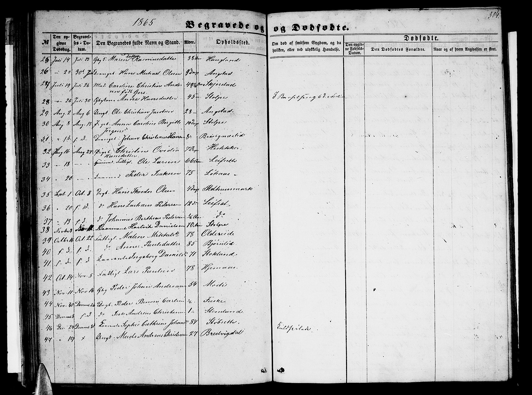 Ministerialprotokoller, klokkerbøker og fødselsregistre - Nordland, AV/SAT-A-1459/852/L0753: Parish register (copy) no. 852C04, 1856-1877, p. 304