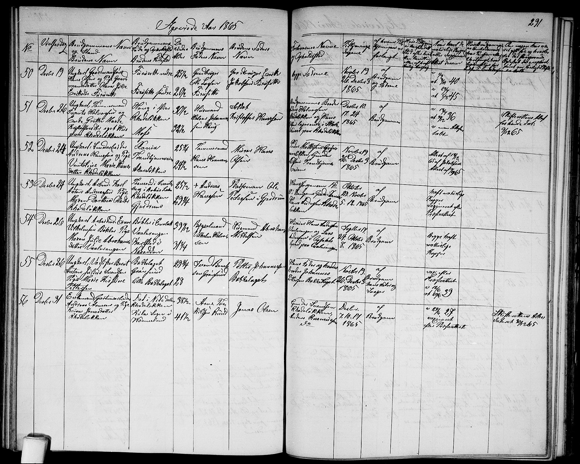 Østre Aker prestekontor Kirkebøker, SAO/A-10840/G/Ga/L0002: Parish register (copy) no. I 2, 1861-1867, p. 291