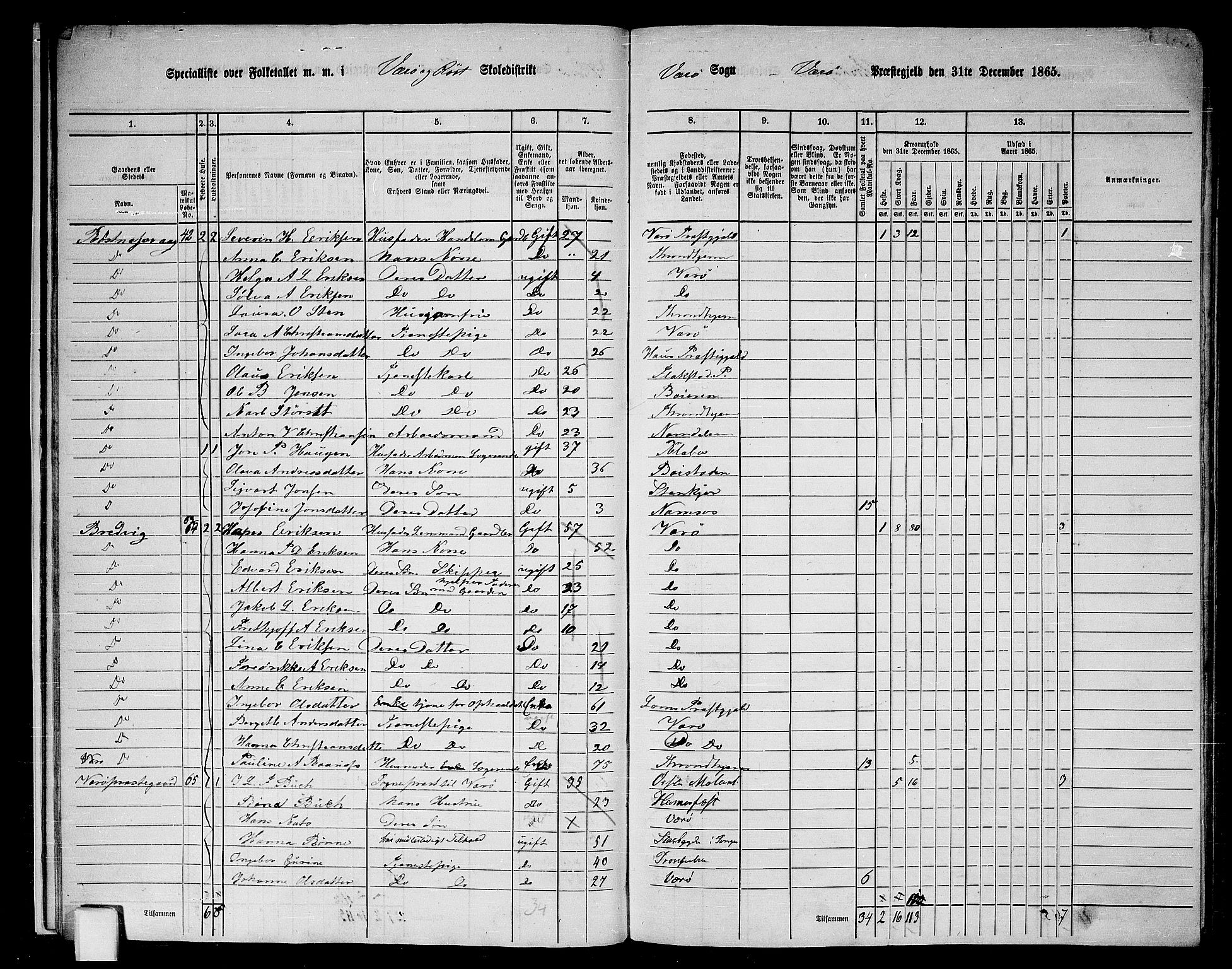 RA, 1865 census for Værøy, 1865, p. 15