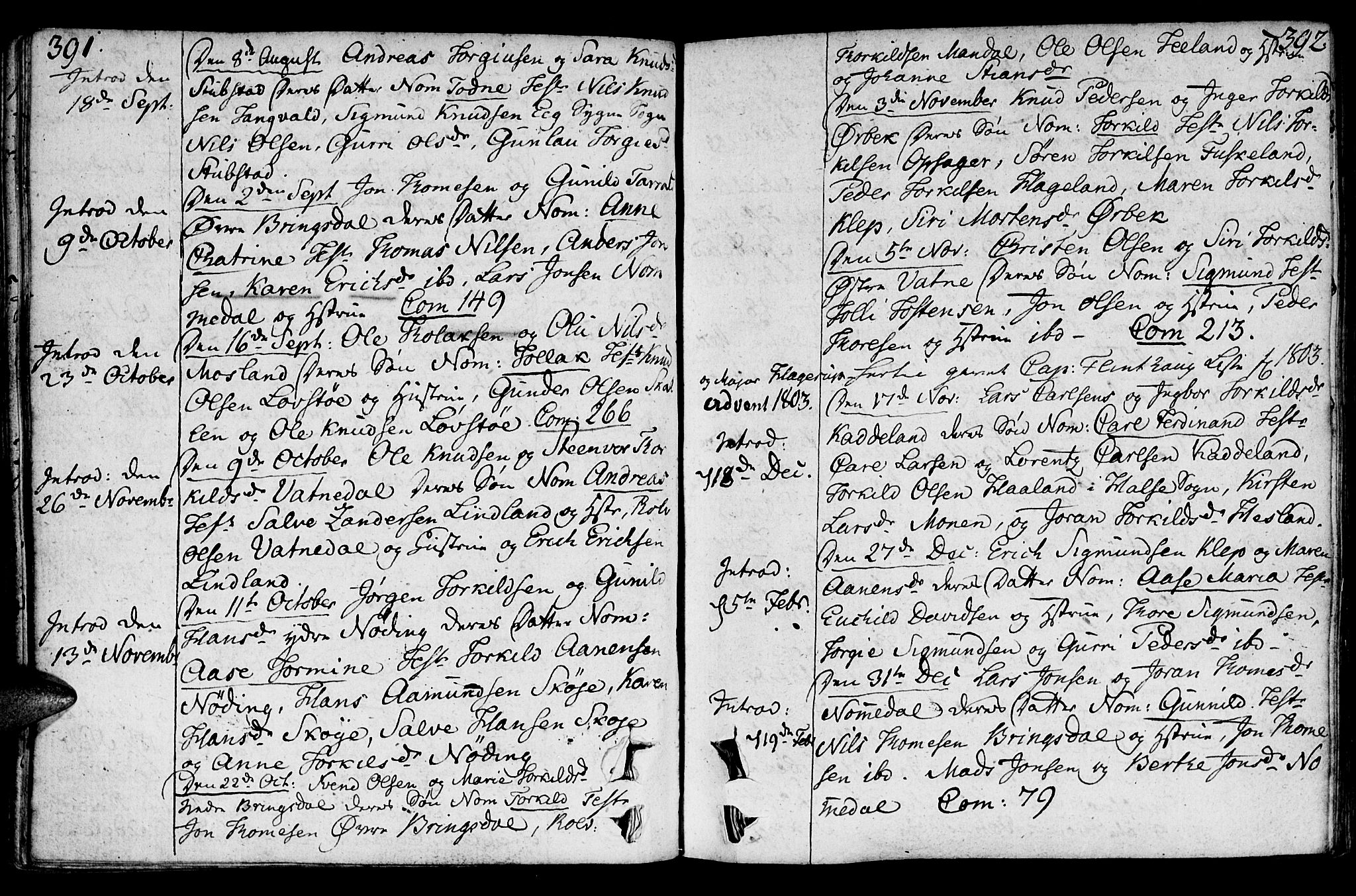 Holum sokneprestkontor, AV/SAK-1111-0022/F/Fa/Faa/L0003: Parish register (official) no. A 3, 1780-1821, p. 391-392