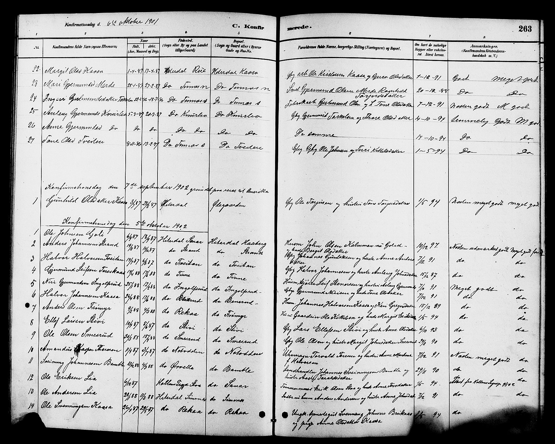 Heddal kirkebøker, SAKO/A-268/G/Ga/L0002: Parish register (copy) no. I 2, 1879-1908, p. 263