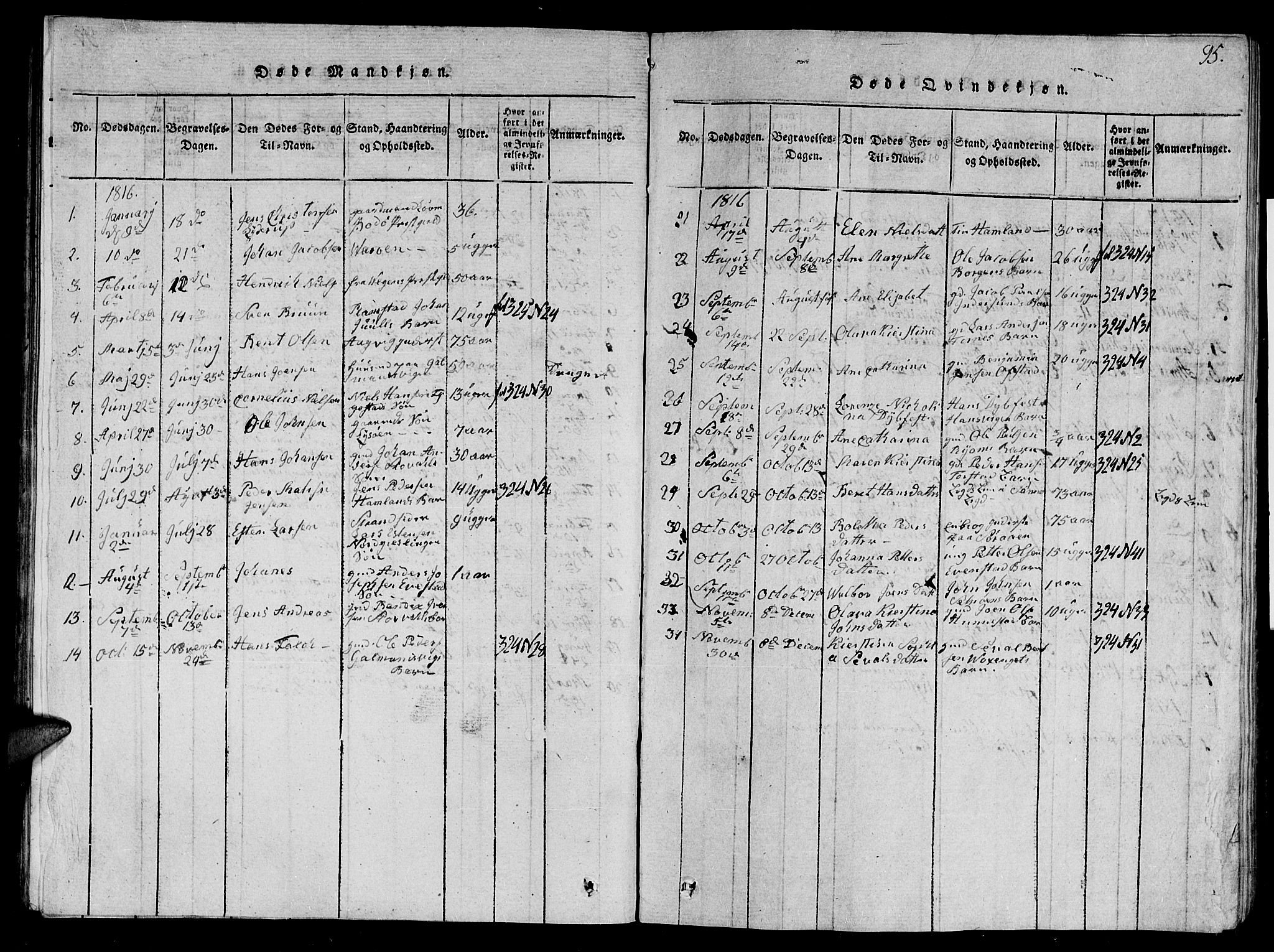 Ministerialprotokoller, klokkerbøker og fødselsregistre - Nord-Trøndelag, SAT/A-1458/784/L0679: Parish register (copy) no. 784C01 /1, 1816-1822, p. 95