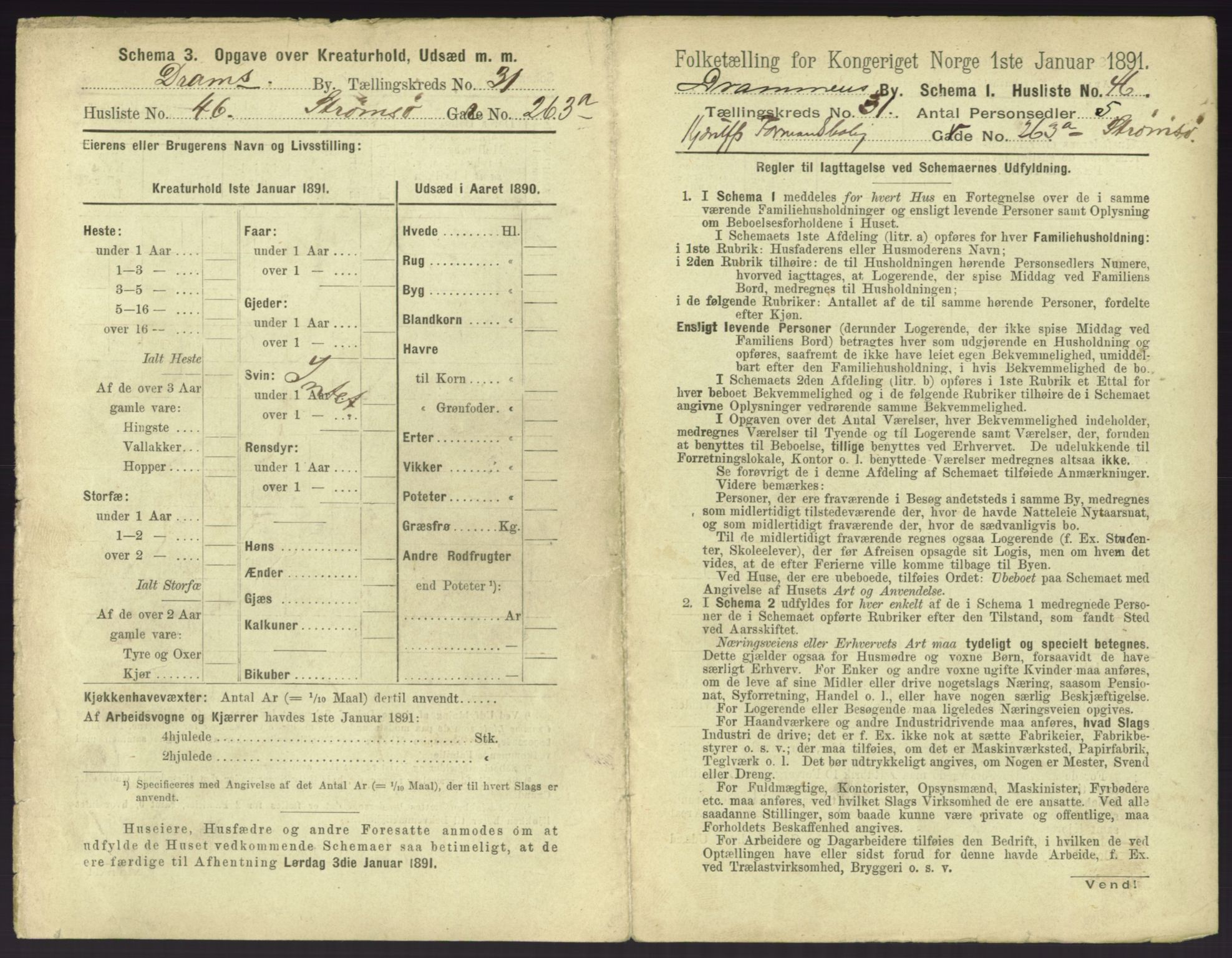 RA, 1891 census for 0602 Drammen, 1891, p. 2749