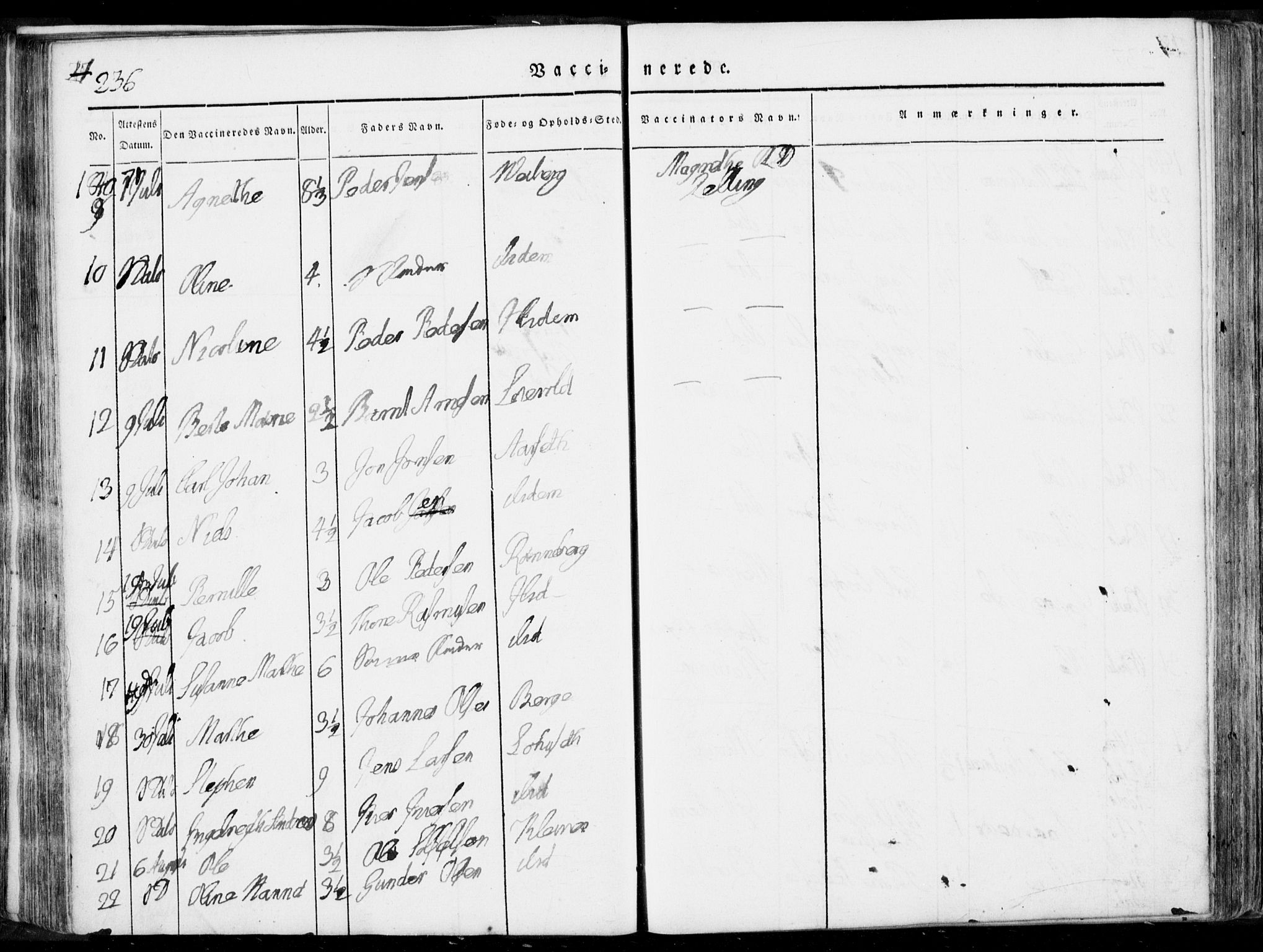 Ministerialprotokoller, klokkerbøker og fødselsregistre - Møre og Romsdal, AV/SAT-A-1454/519/L0248: Parish register (official) no. 519A07, 1829-1860, p. 236