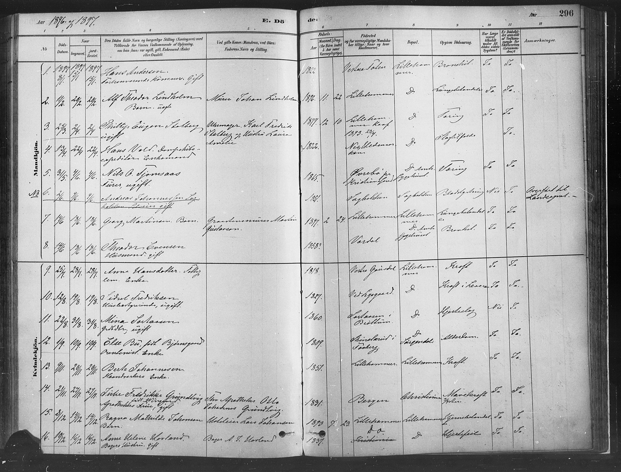 Fåberg prestekontor, AV/SAH-PREST-086/H/Ha/Haa/L0010: Parish register (official) no. 10, 1879-1900, p. 296