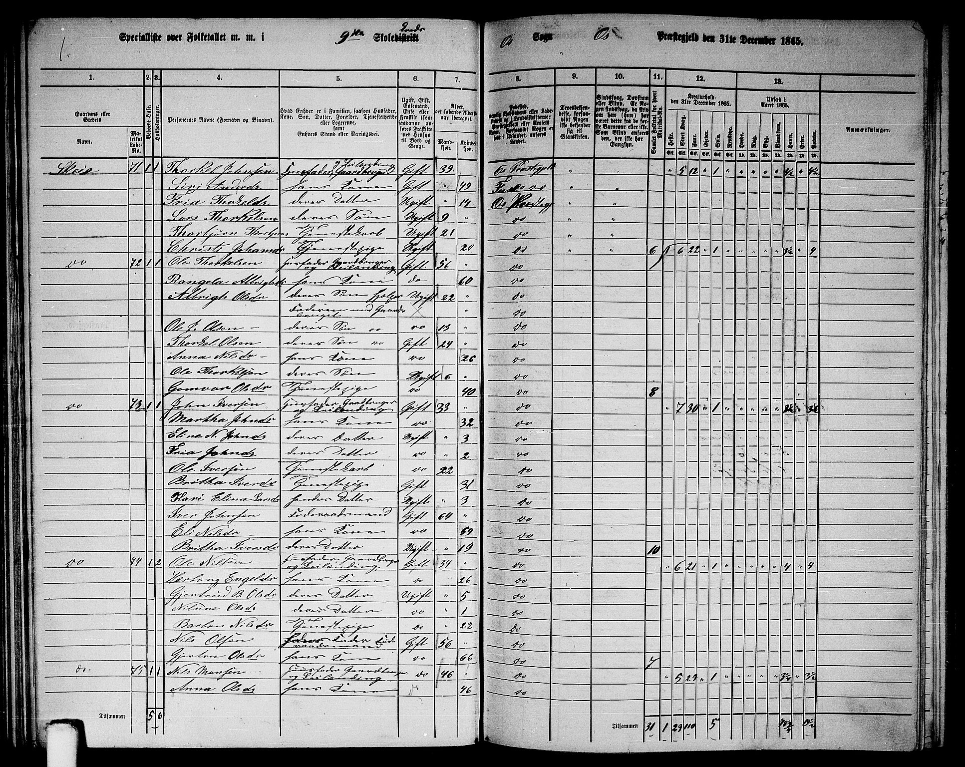 RA, 1865 census for Os, 1865, p. 46