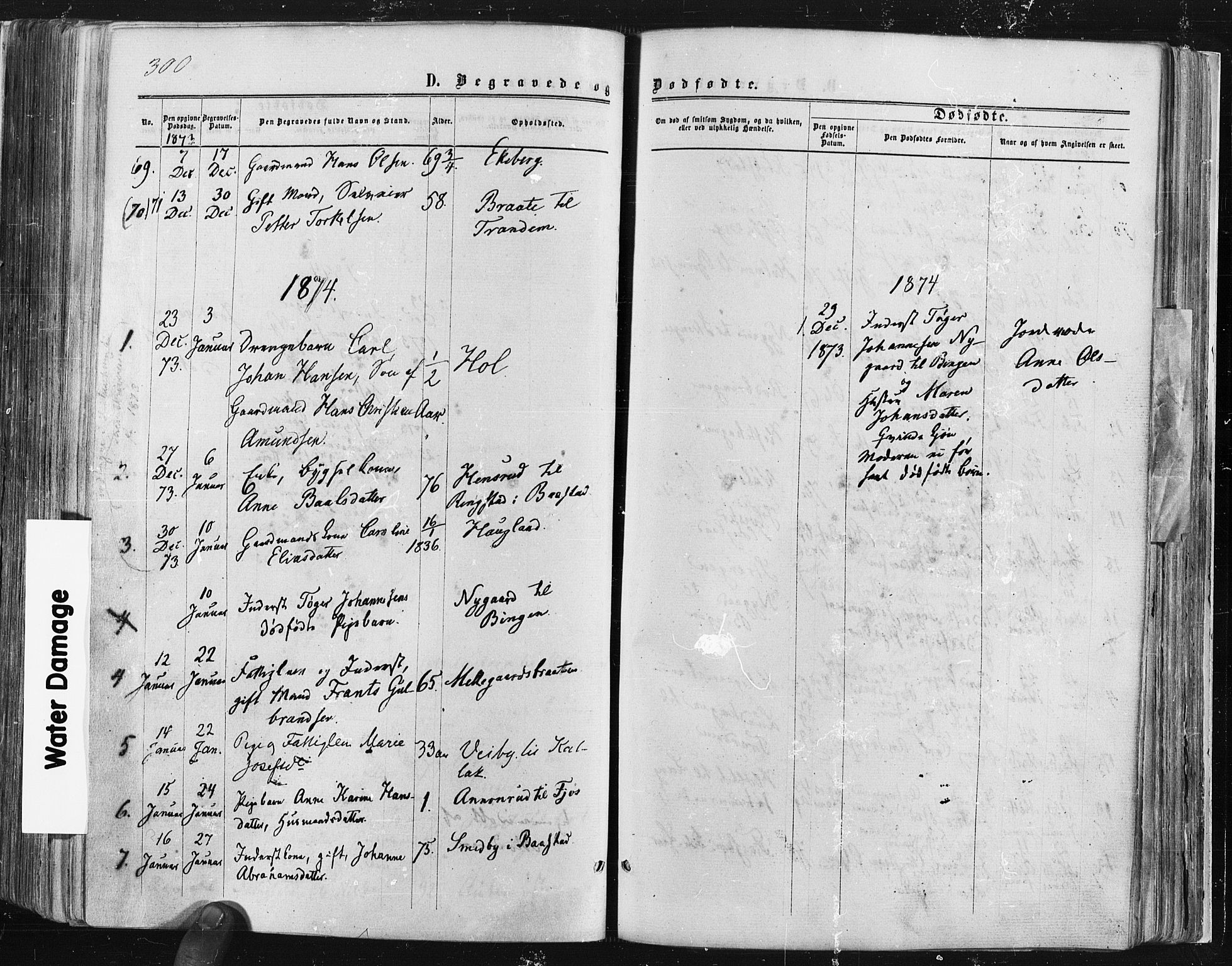 Trøgstad prestekontor Kirkebøker, SAO/A-10925/F/Fa/L0009: Parish register (official) no. I 9, 1865-1877, p. 300