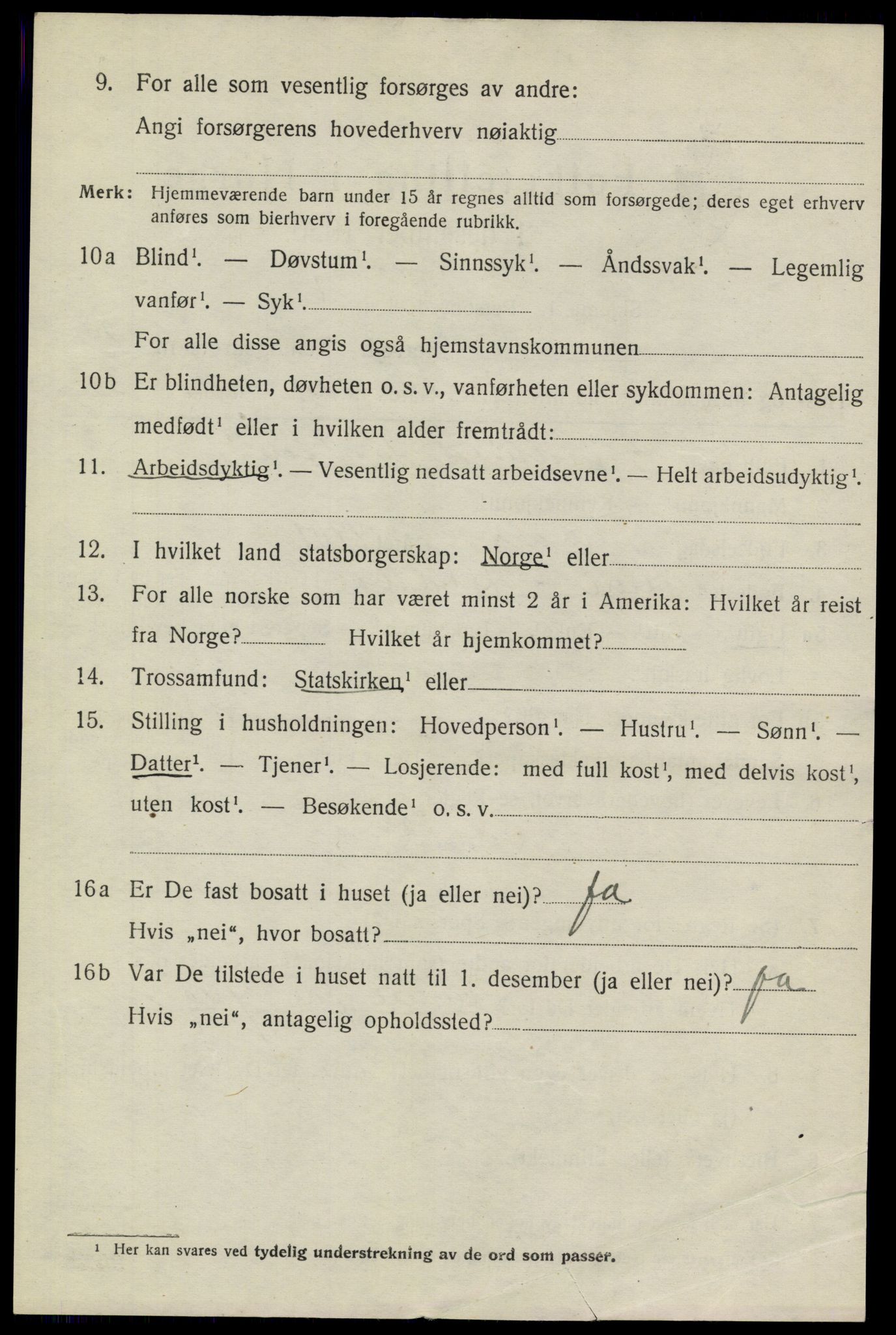 SAKO, 1920 census for Heddal, 1920, p. 3009
