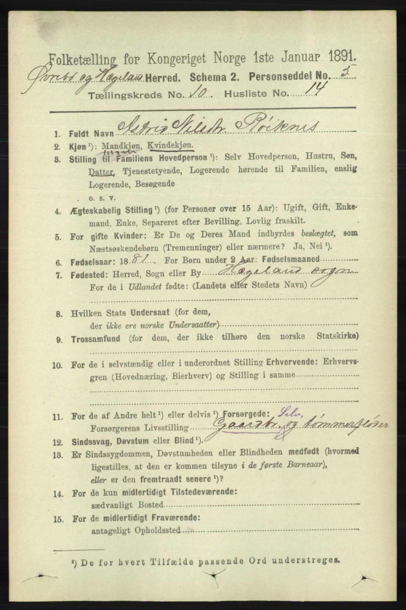 RA, 1891 census for 1016 Øvrebø og Hægeland, 1891, p. 2124