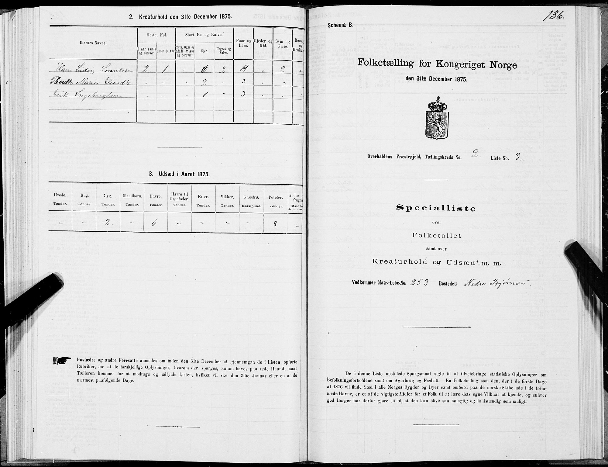 SAT, 1875 census for 1744P Overhalla, 1875, p. 1136