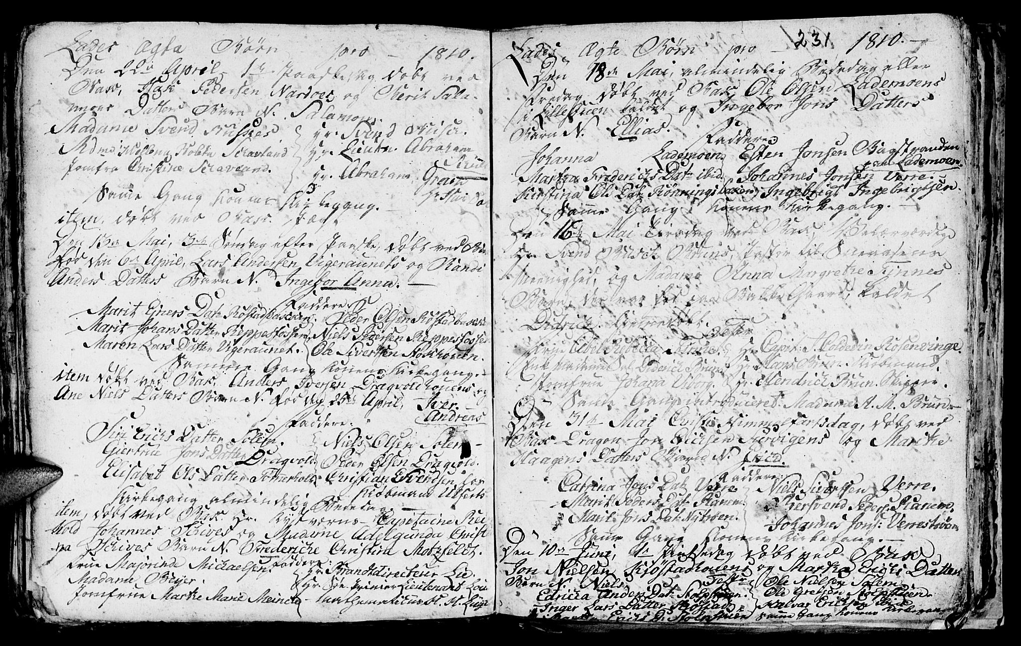Ministerialprotokoller, klokkerbøker og fødselsregistre - Sør-Trøndelag, AV/SAT-A-1456/606/L0305: Parish register (copy) no. 606C01, 1757-1819, p. 231
