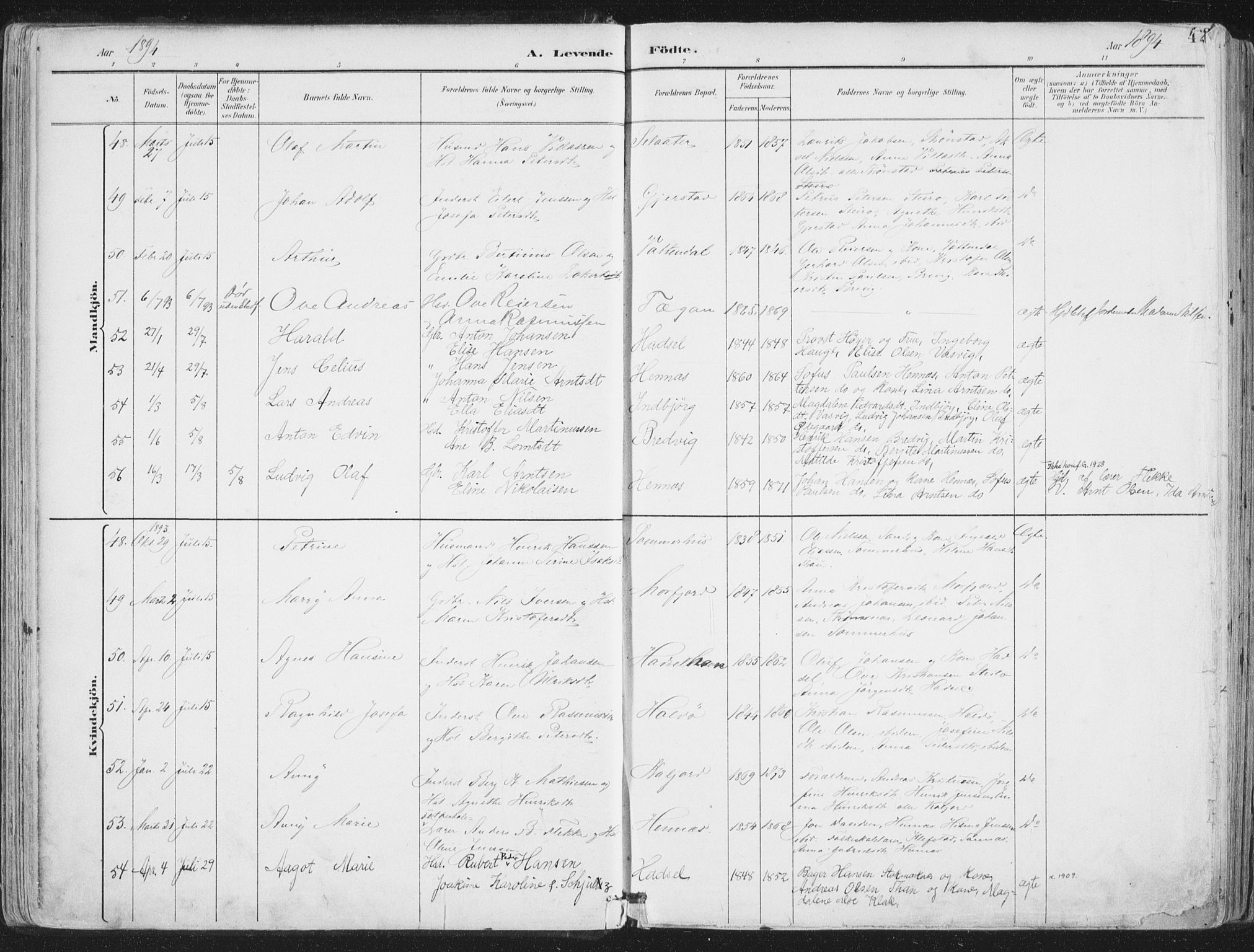 Ministerialprotokoller, klokkerbøker og fødselsregistre - Nordland, AV/SAT-A-1459/888/L1246: Parish register (official) no. 888A12, 1891-1903, p. 42