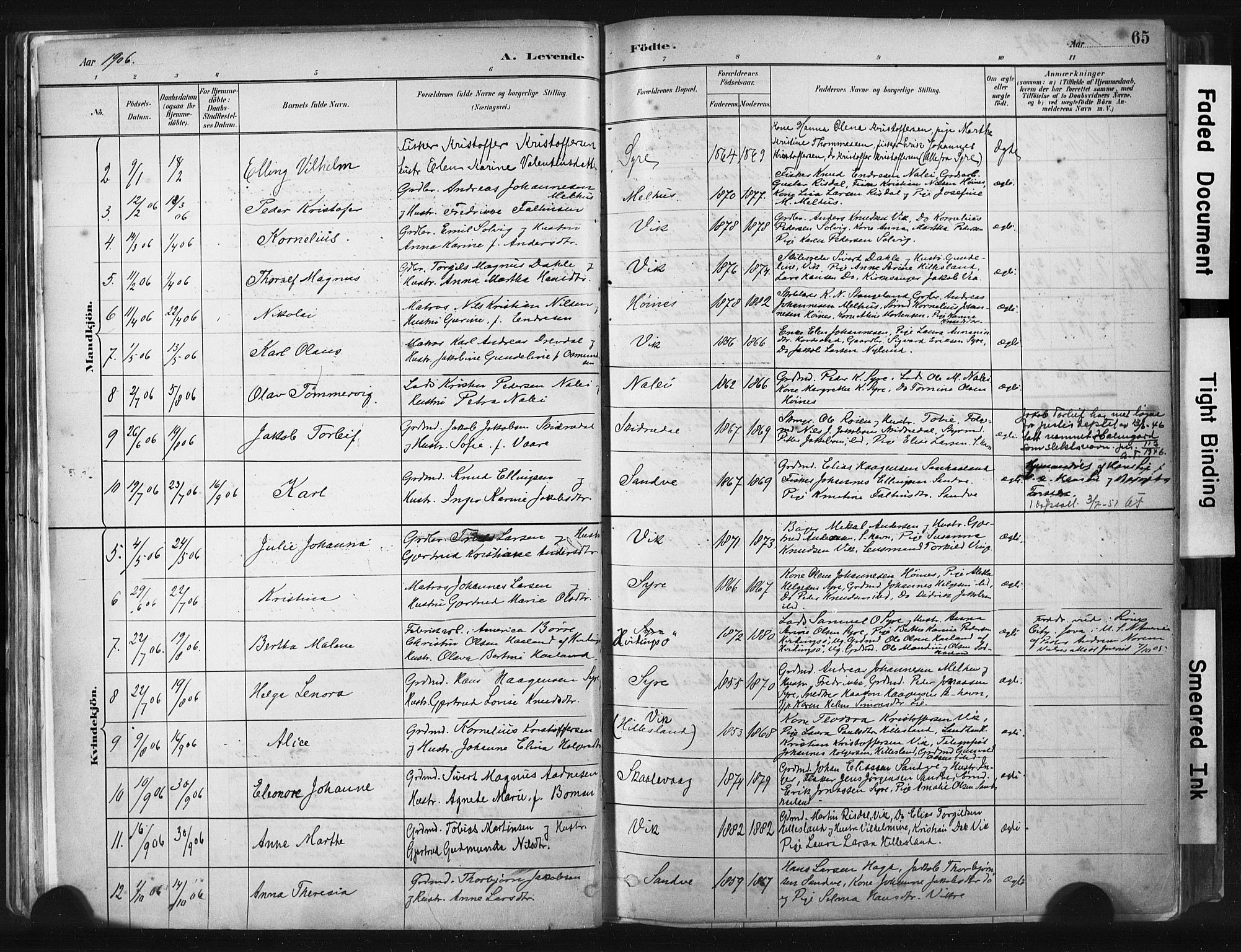 Skudenes sokneprestkontor, AV/SAST-A -101849/H/Ha/Haa/L0009: Parish register (official) no. A 6, 1882-1912, p. 65