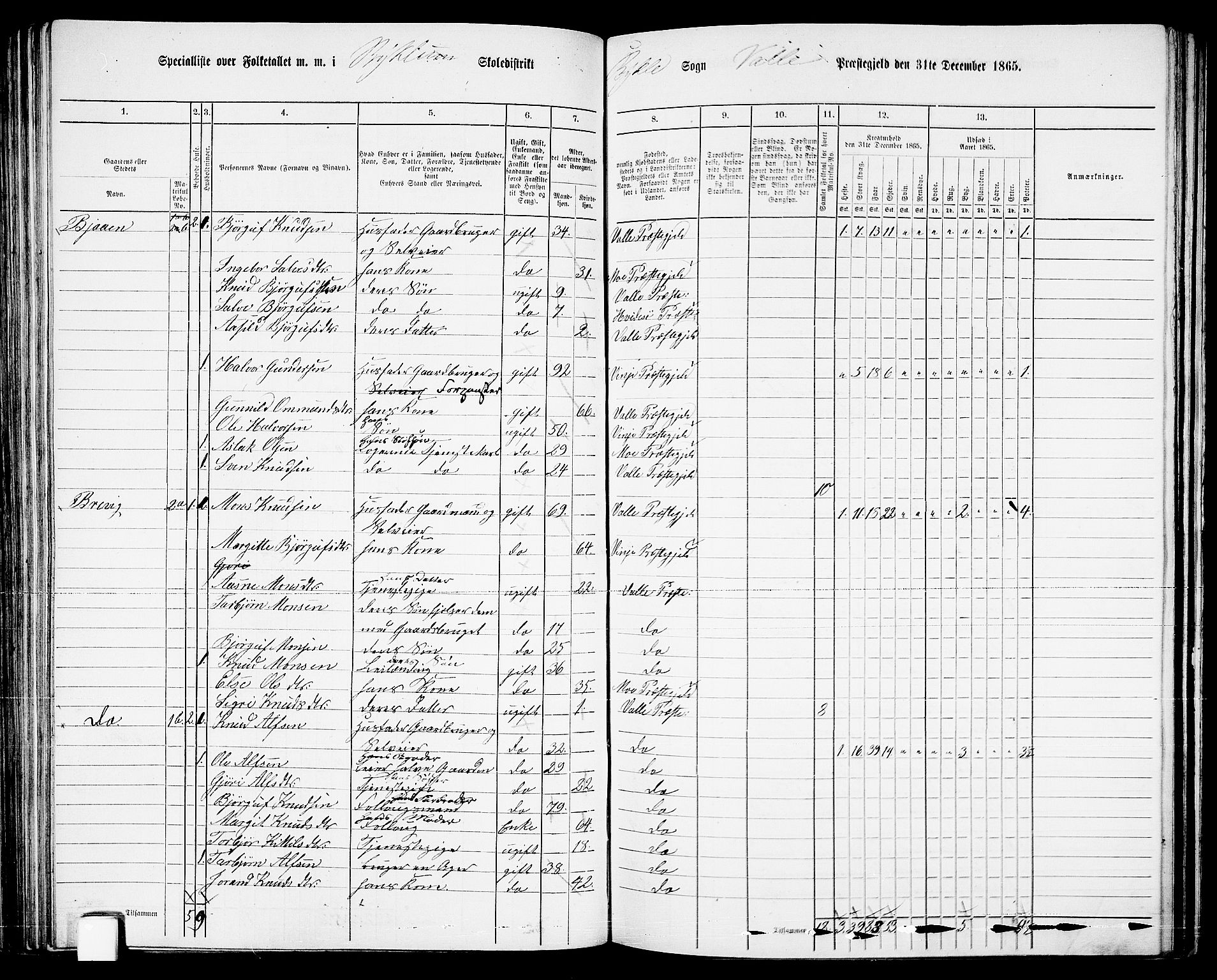 RA, 1865 census for Valle, 1865, p. 86