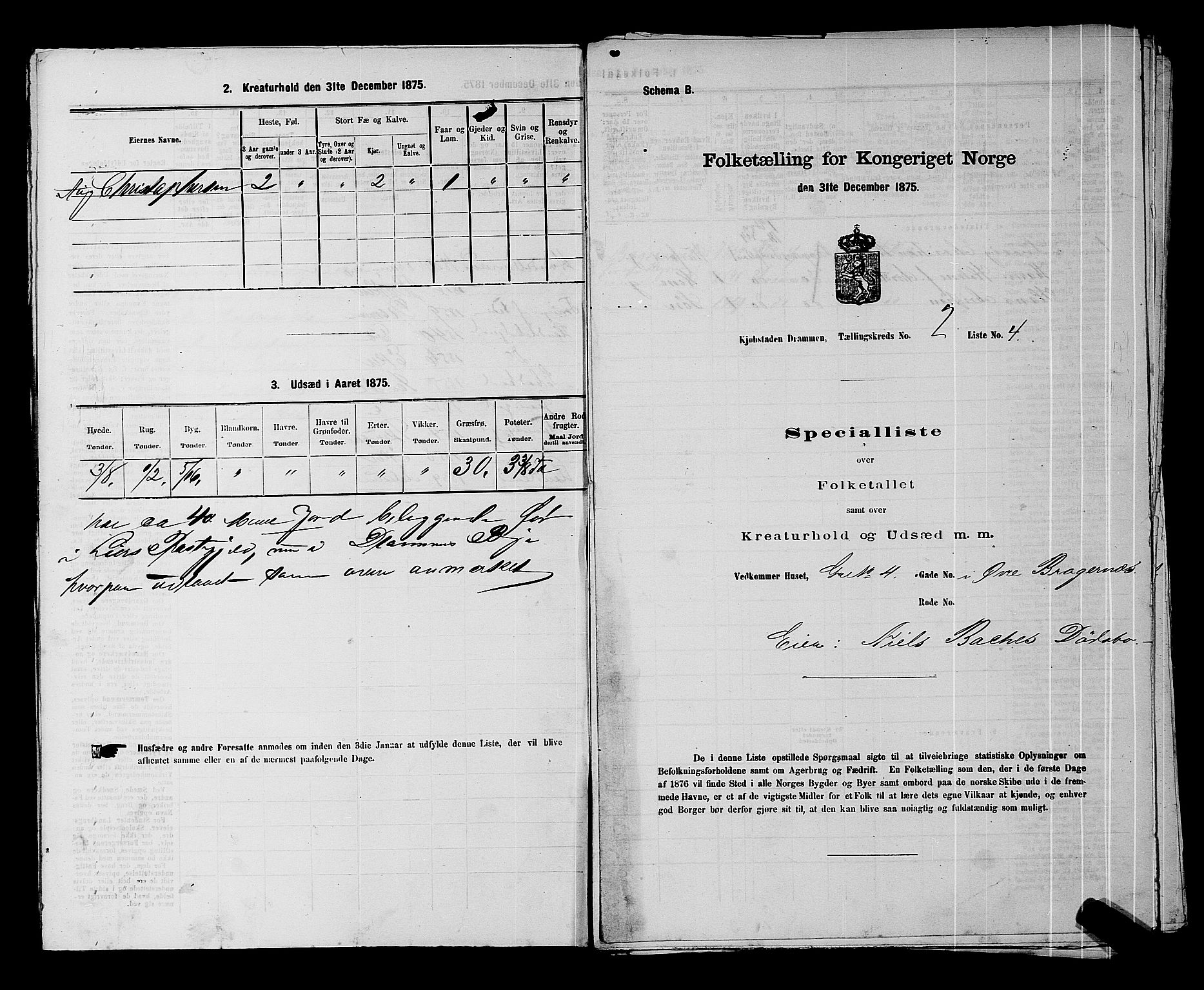 SAKO, 1875 census for 0602 Drammen, 1875, p. 185