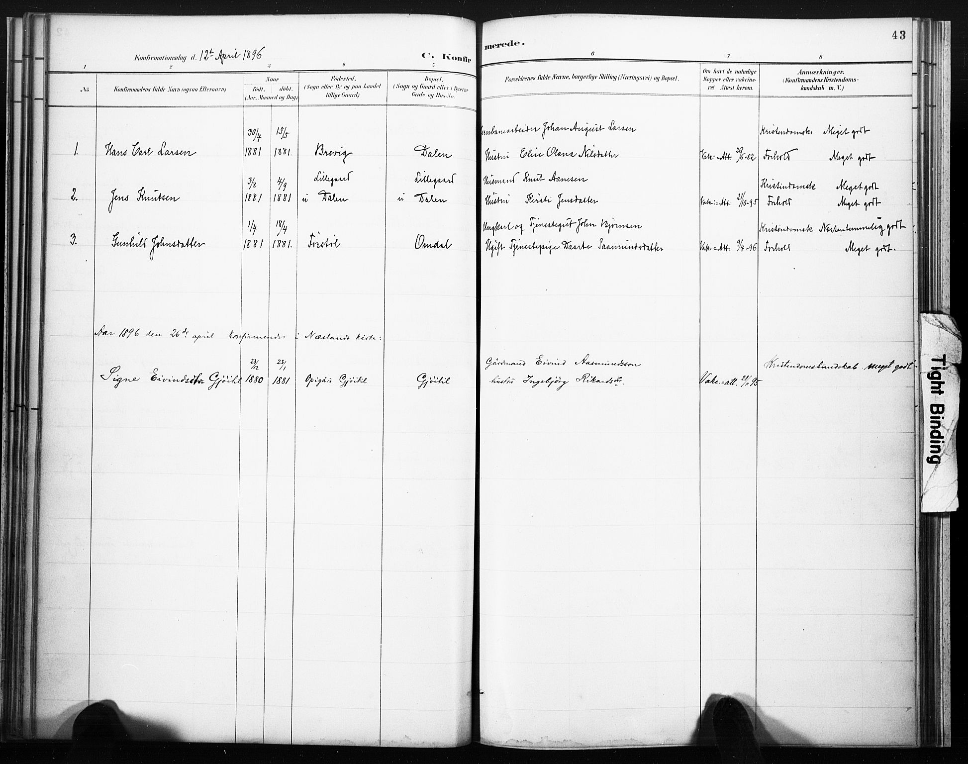 Lårdal kirkebøker, SAKO/A-284/F/Fb/L0002: Parish register (official) no. II 2, 1887-1918, p. 43