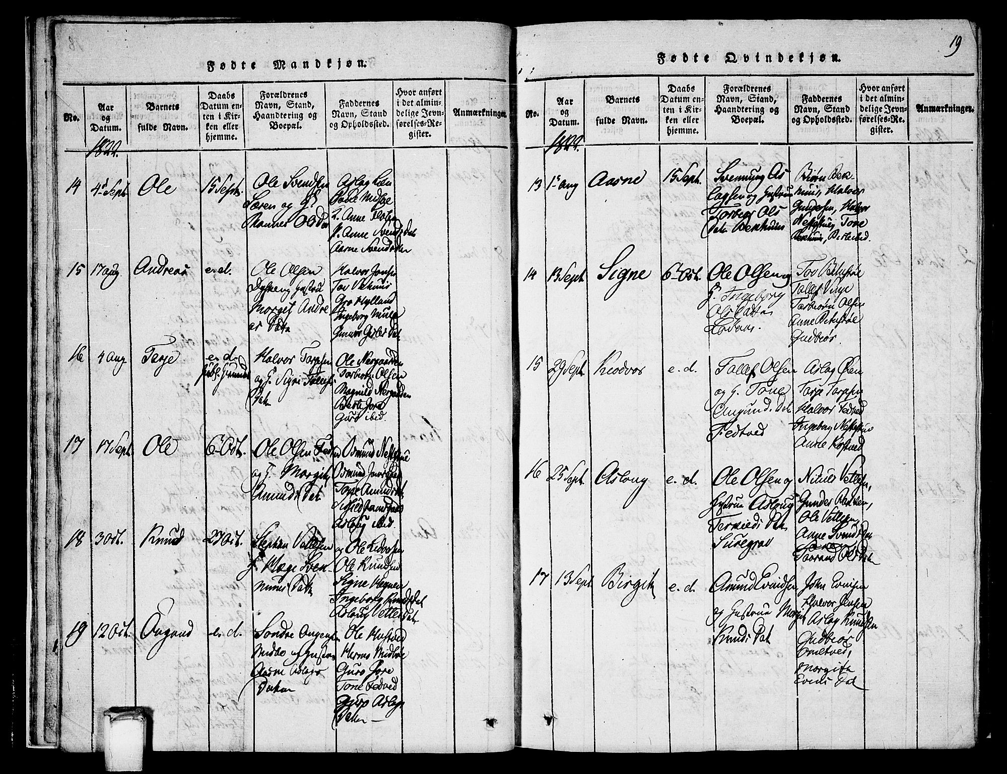 Vinje kirkebøker, SAKO/A-312/G/Ga/L0001: Parish register (copy) no. I 1, 1814-1843, p. 19