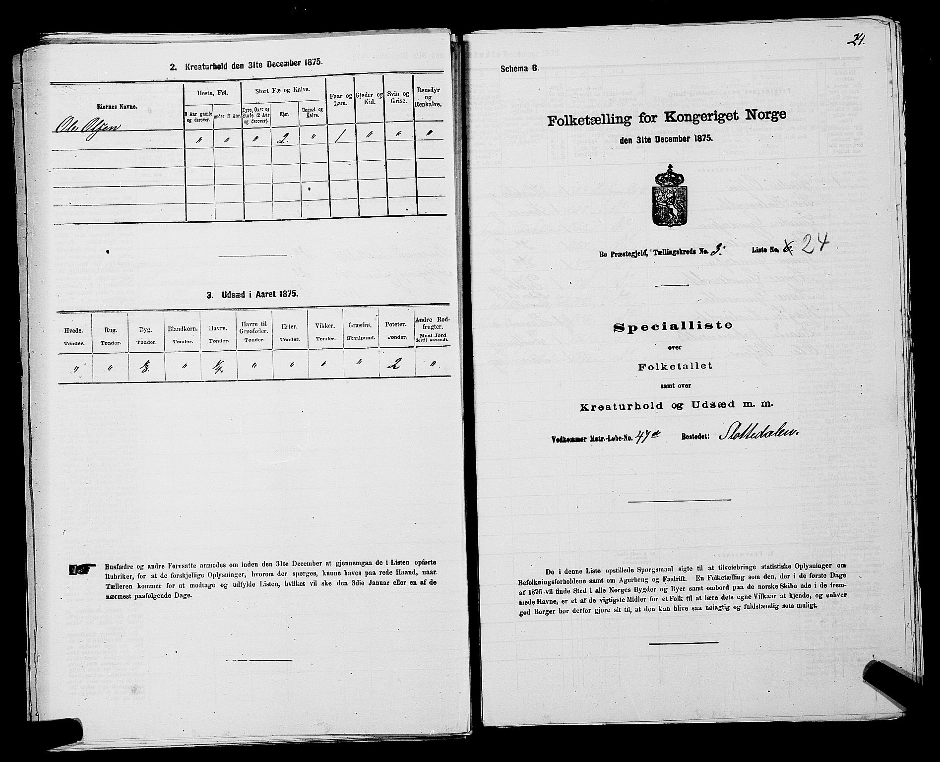 SAKO, 1875 census for 0821P Bø, 1875, p. 405