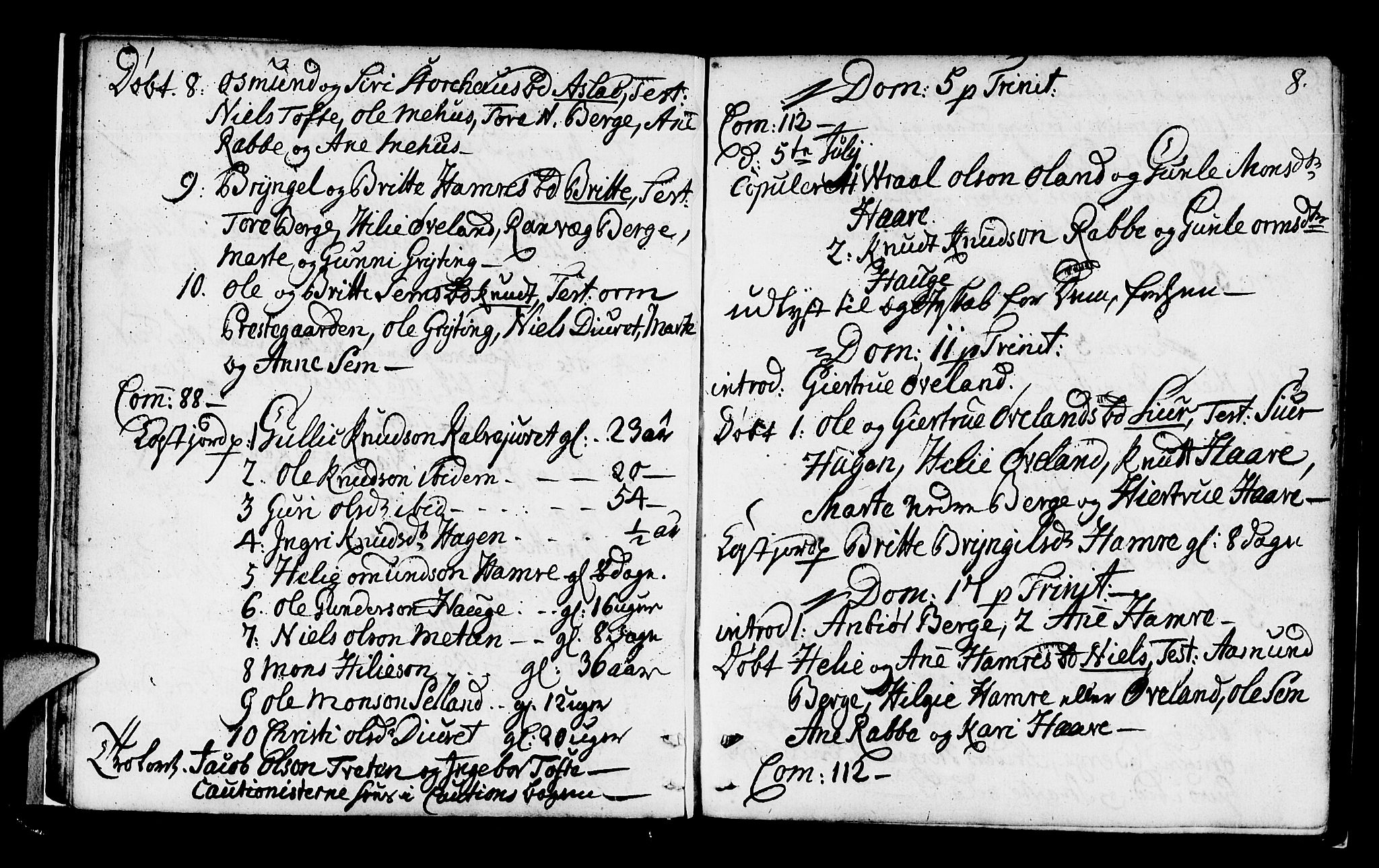 Røldal sokneprestembete, SAB/A-100247: Parish register (official) no. A 1, 1780-1816, p. 8