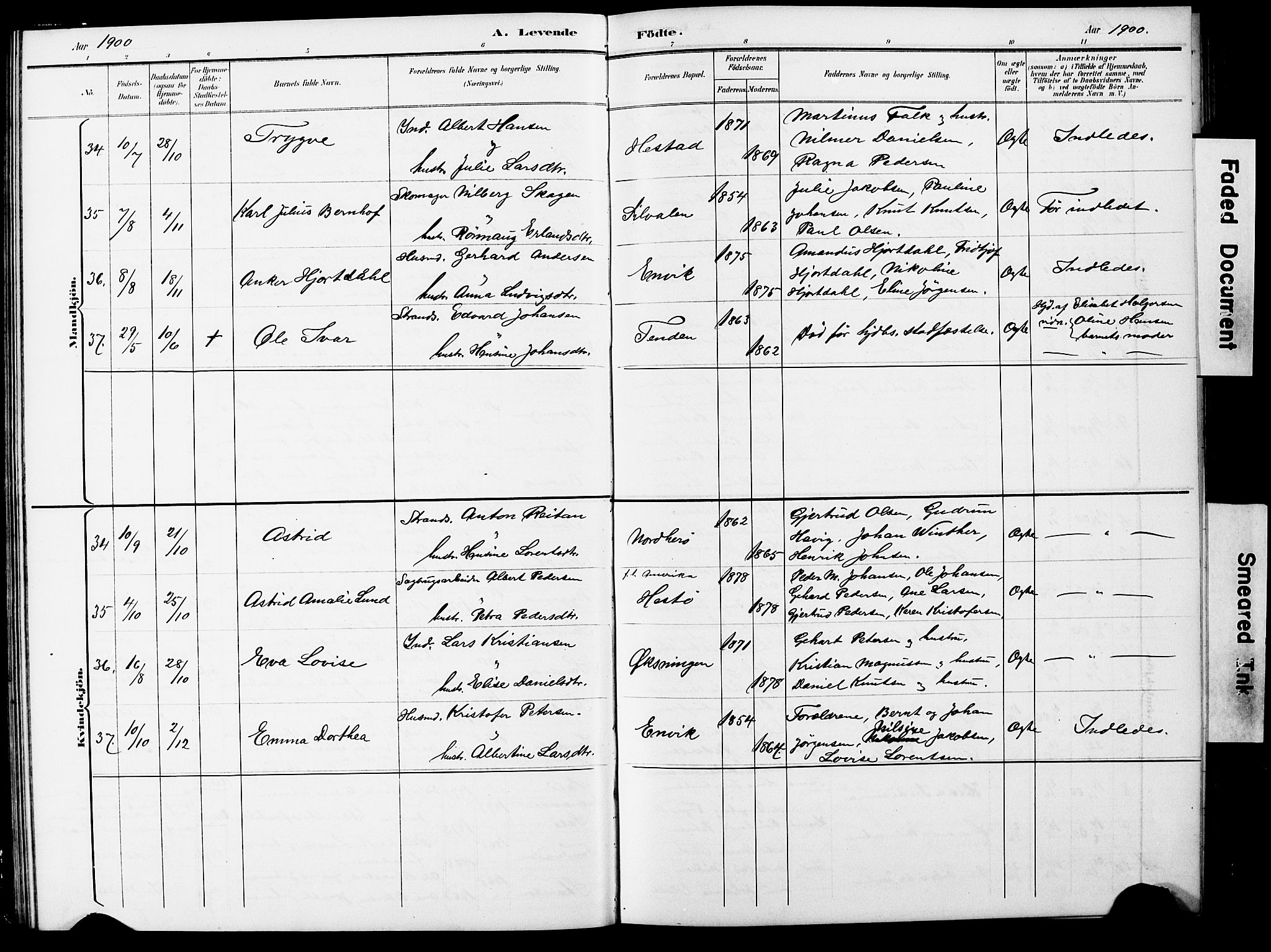 Ministerialprotokoller, klokkerbøker og fødselsregistre - Nordland, AV/SAT-A-1459/834/L0514: Parish register (copy) no. 834C05, 1893-1901