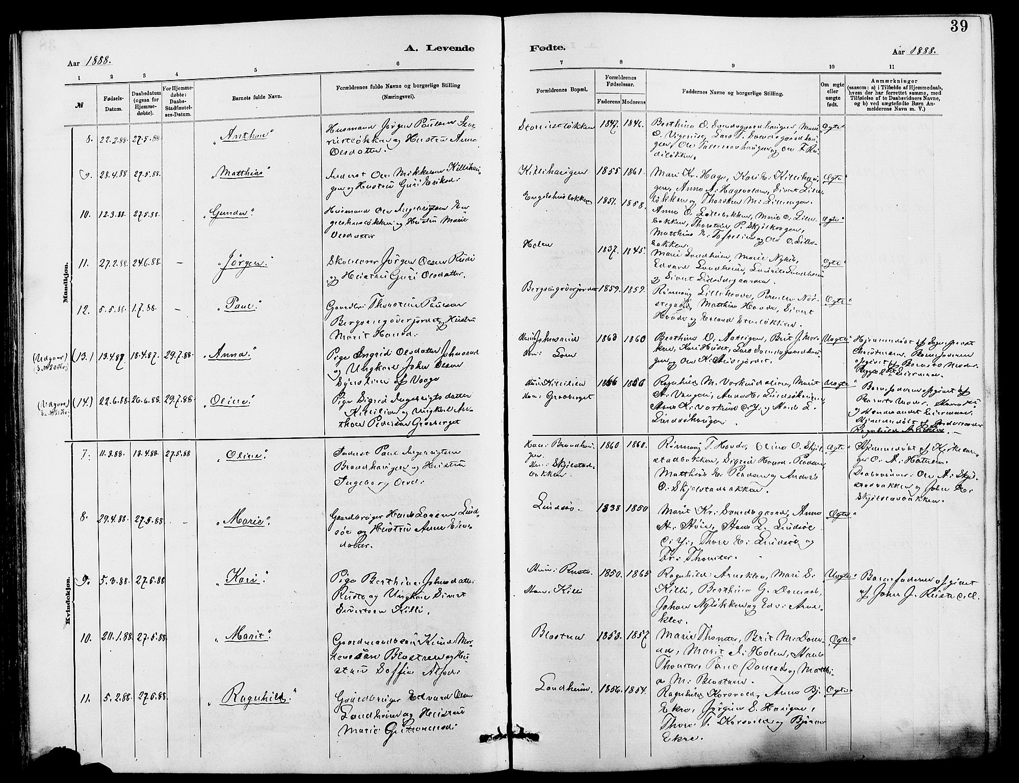 Dovre prestekontor, AV/SAH-PREST-066/H/Ha/Hab/L0002: Parish register (copy) no. 2, 1881-1907, p. 39