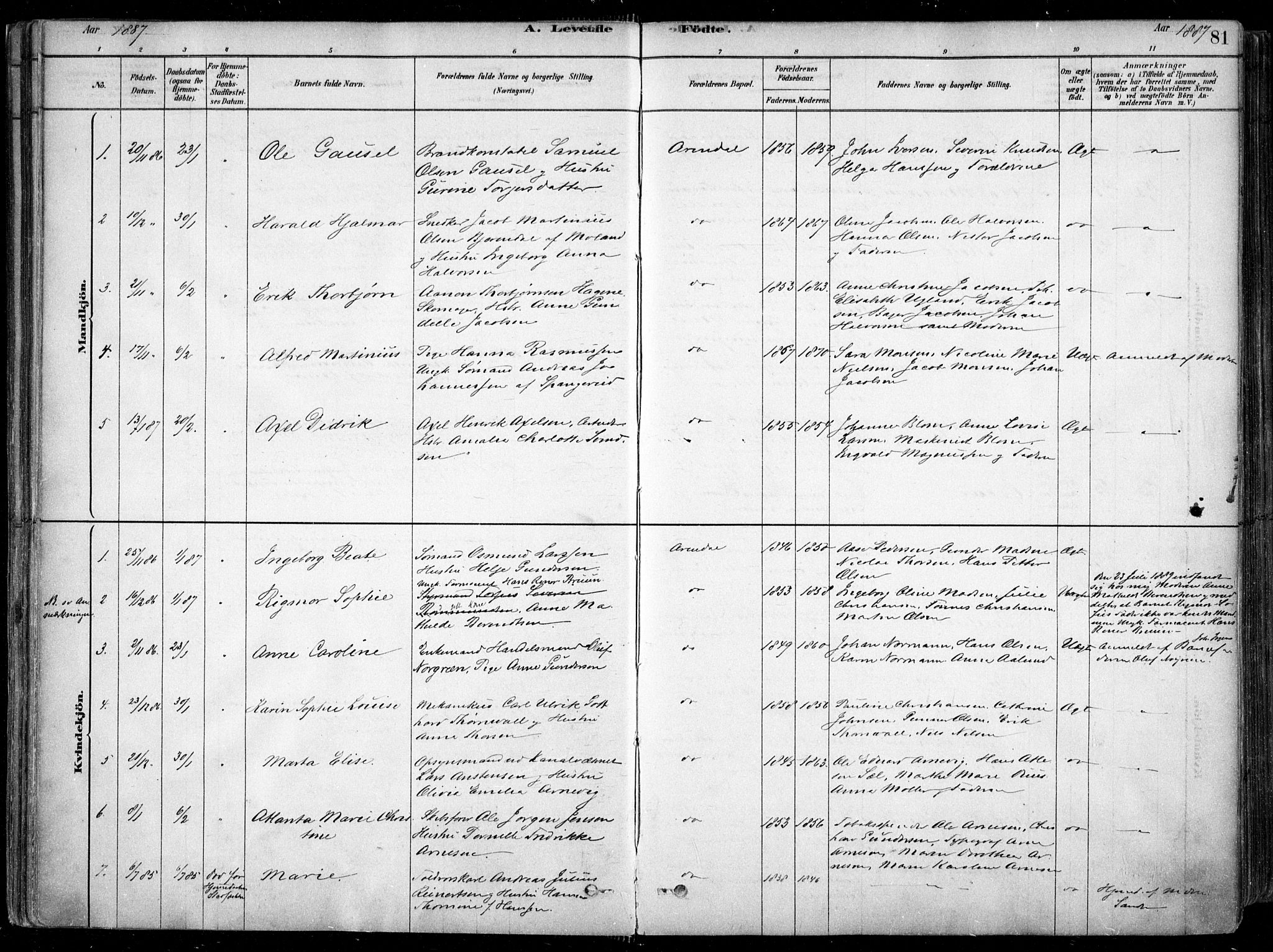 Arendal sokneprestkontor, Trefoldighet, SAK/1111-0040/F/Fa/L0008: Parish register (official) no. A 8, 1878-1899, p. 81