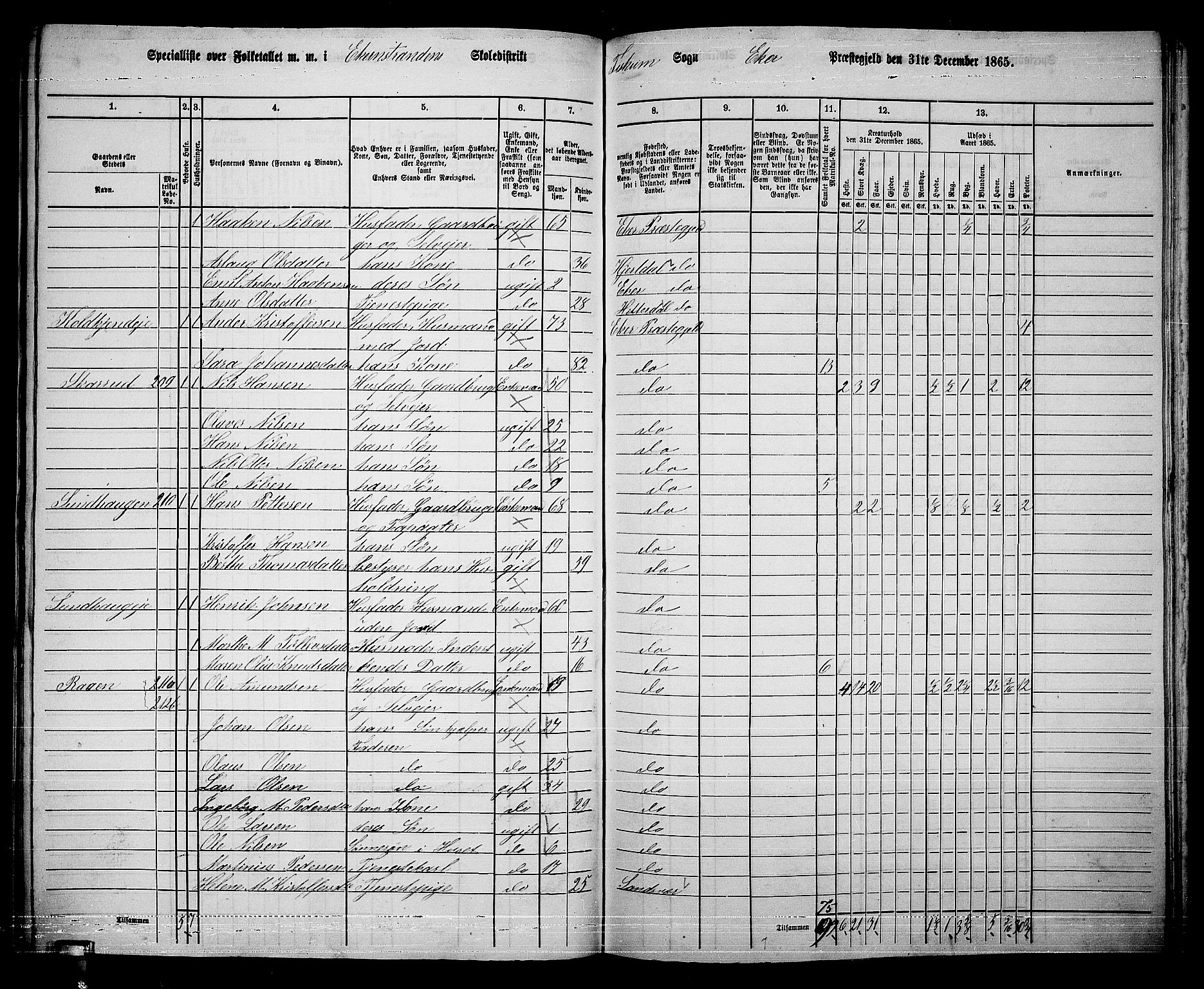 RA, 1865 census for Eiker, 1865, p. 491