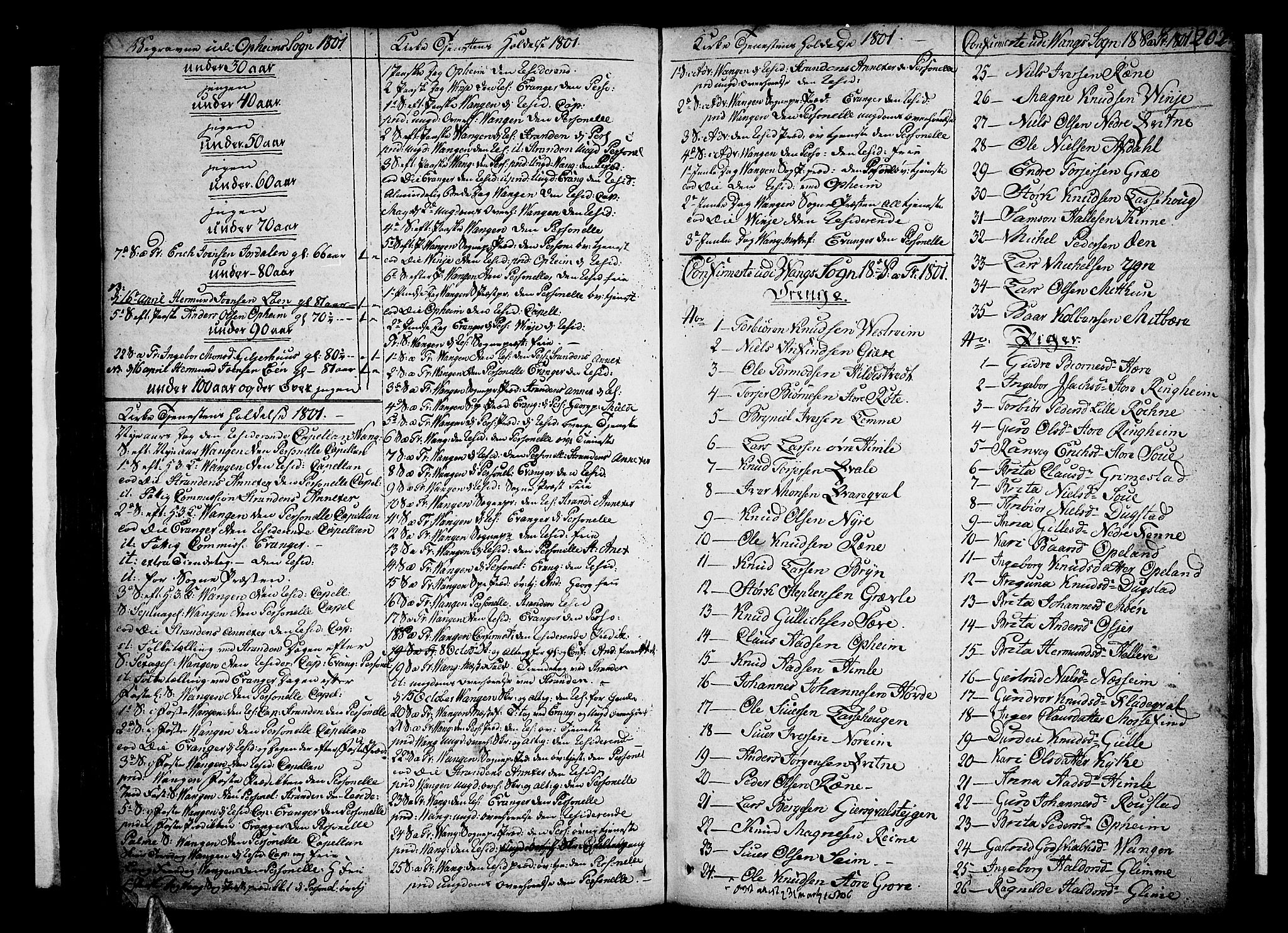 Voss sokneprestembete, AV/SAB-A-79001/H/Haa: Parish register (official) no. A 9, 1780-1810, p. 202