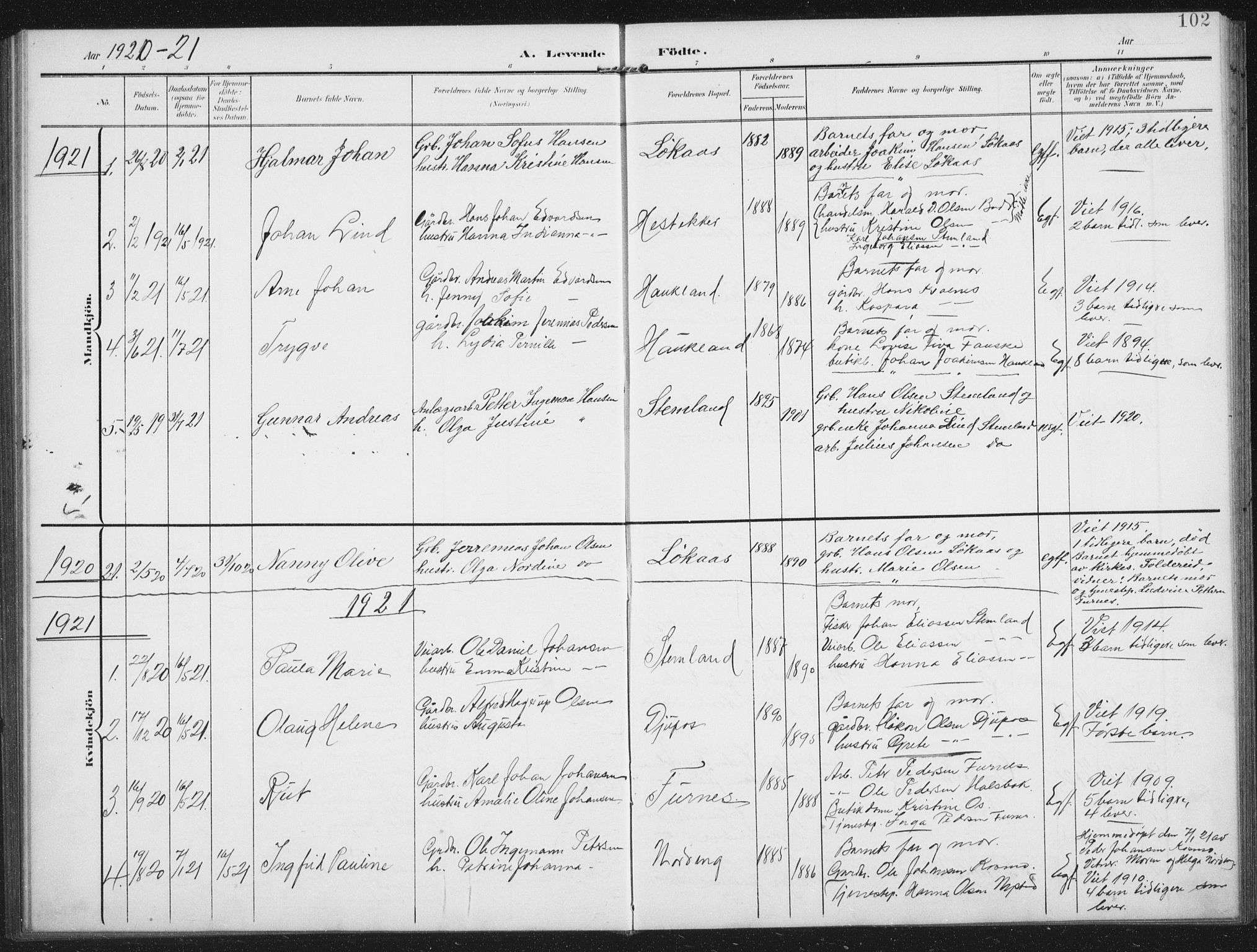 Ministerialprotokoller, klokkerbøker og fødselsregistre - Nordland, AV/SAT-A-1459/851/L0726: Parish register (copy) no. 851C01, 1902-1924, p. 102