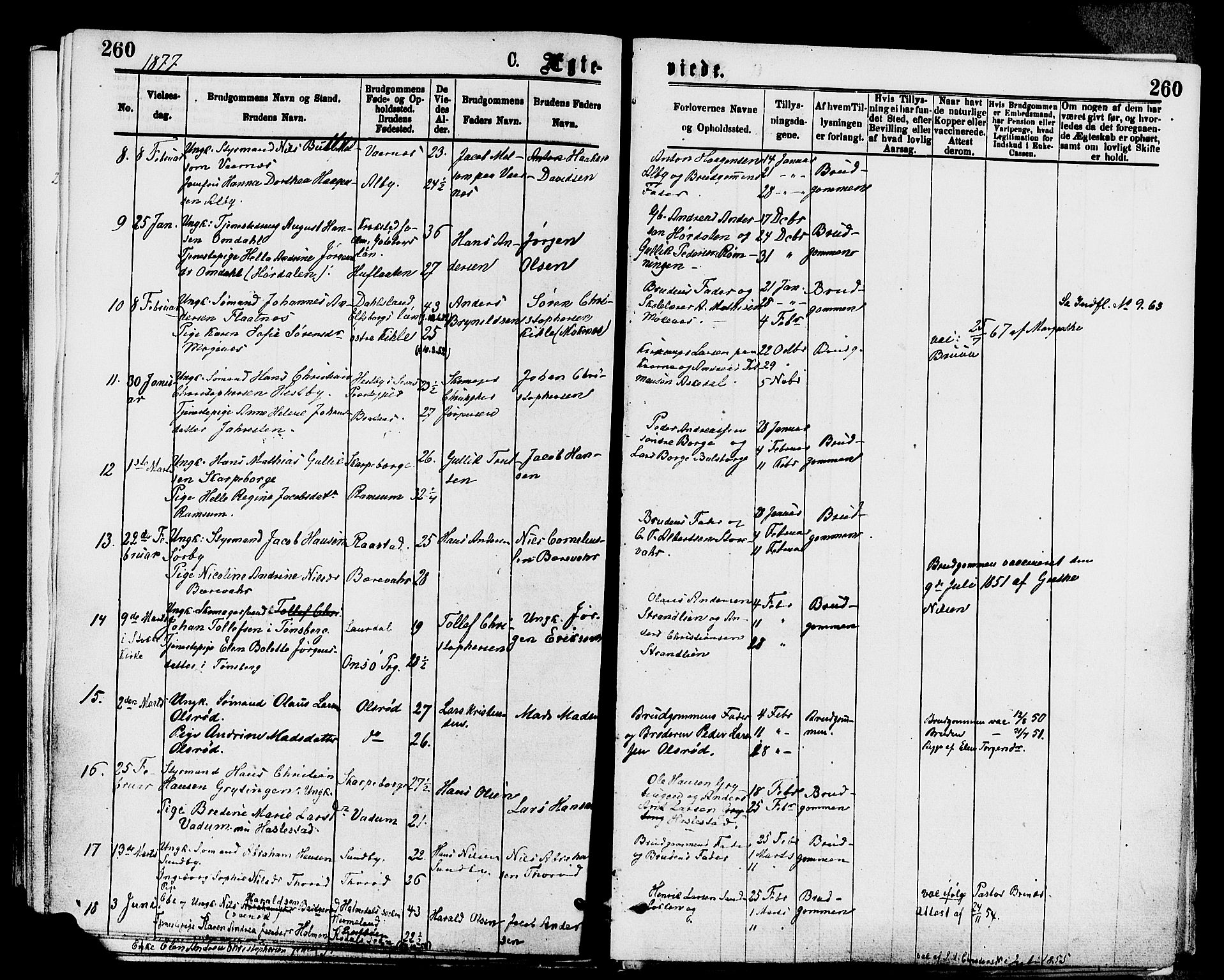 Stokke kirkebøker, AV/SAKO-A-320/F/Fa/L0009: Parish register (official) no. I 9, 1872-1883, p. 260