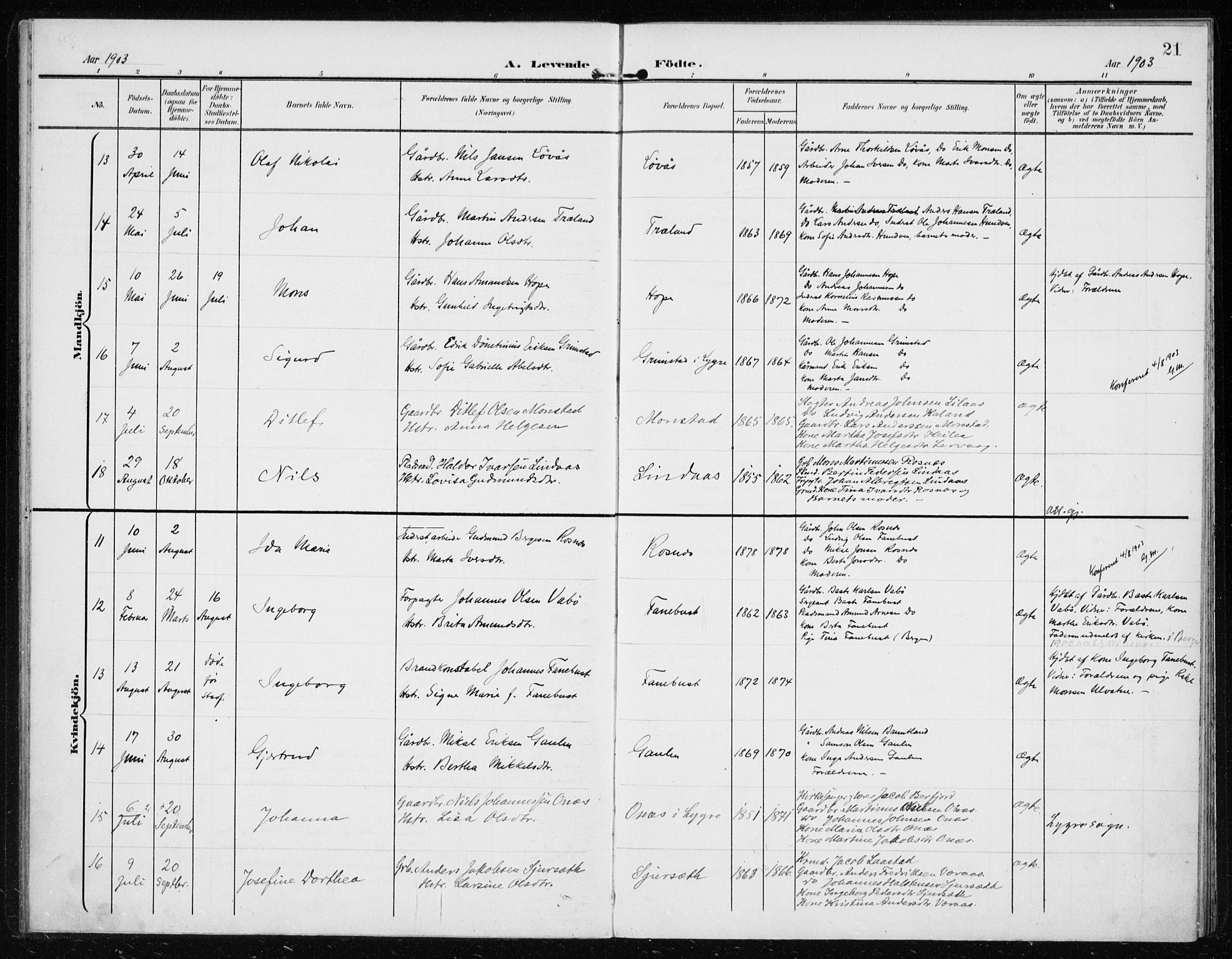 Lindås Sokneprestembete, AV/SAB-A-76701/H/Haa/Haab/L0002: Parish register (official) no. B 2, 1900-1912, p. 21