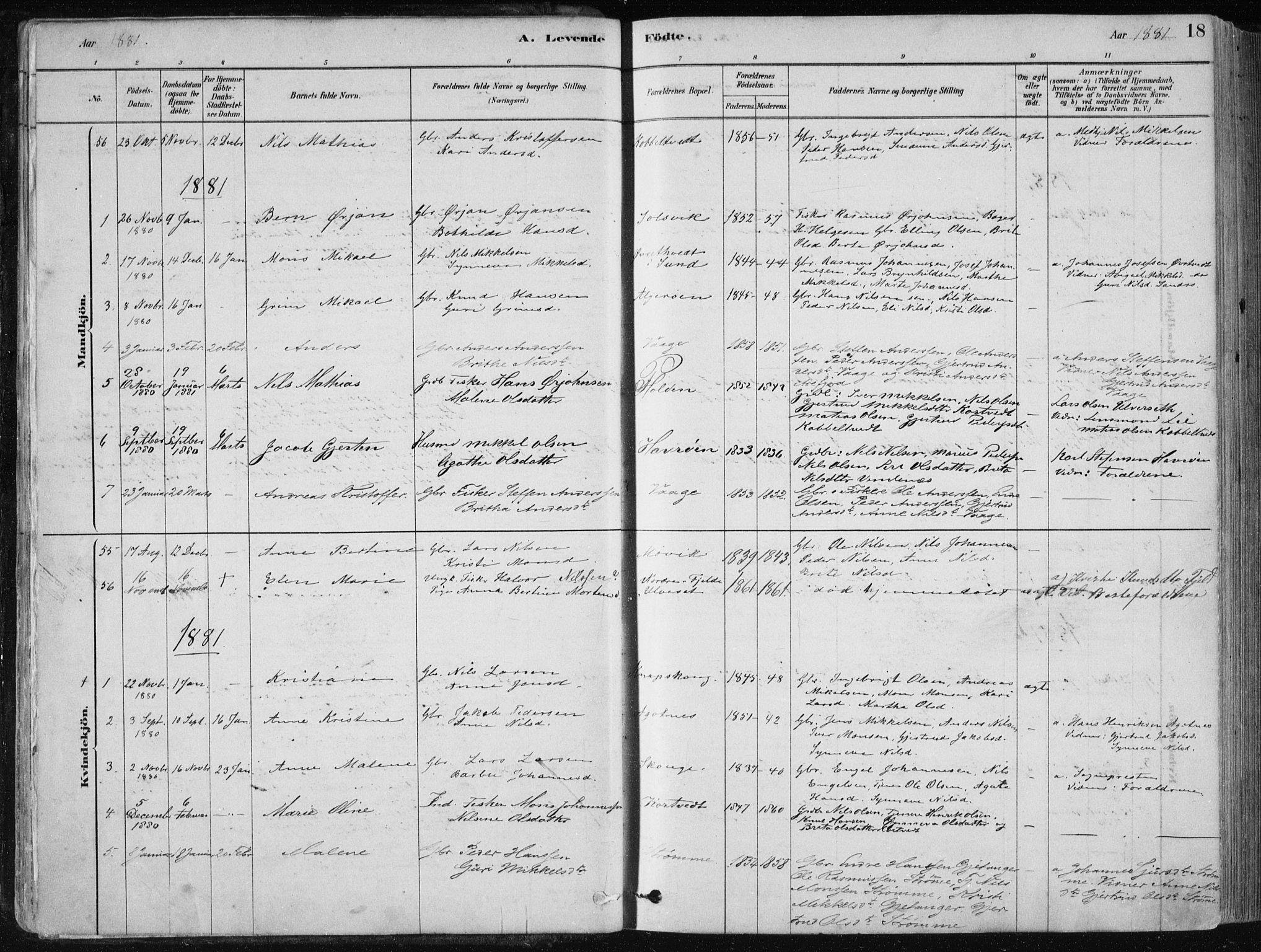 Fjell sokneprestembete, SAB/A-75301/H/Haa: Parish register (official) no. A  8, 1878-1898, p. 18