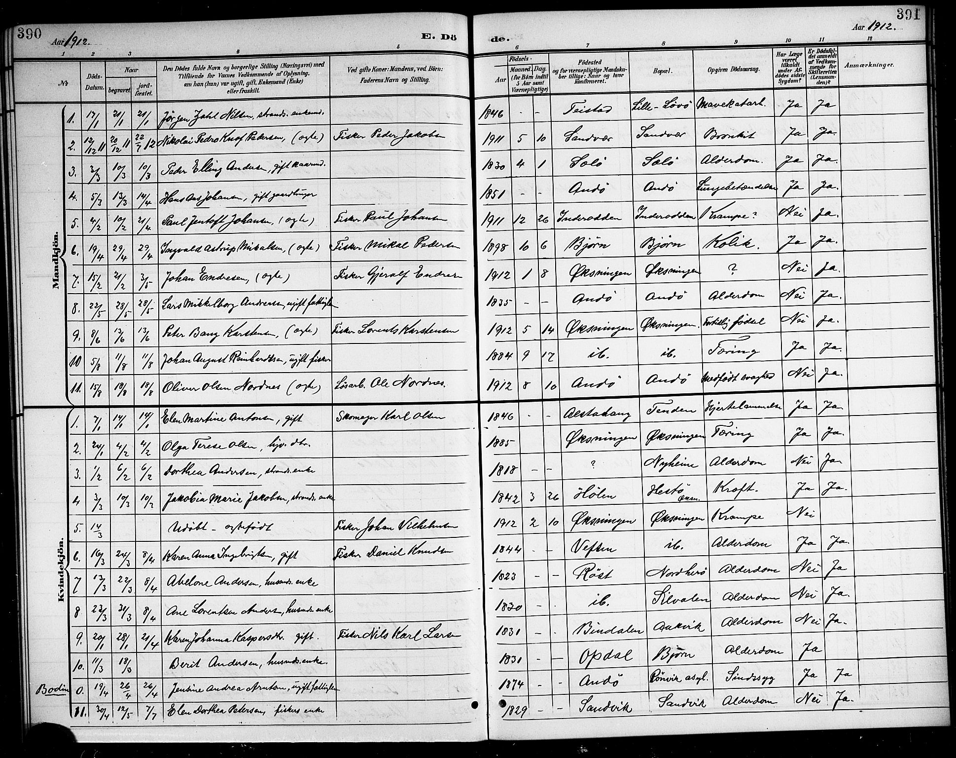 Ministerialprotokoller, klokkerbøker og fødselsregistre - Nordland, SAT/A-1459/834/L0516: Parish register (copy) no. 834C06, 1902-1918, p. 390-391