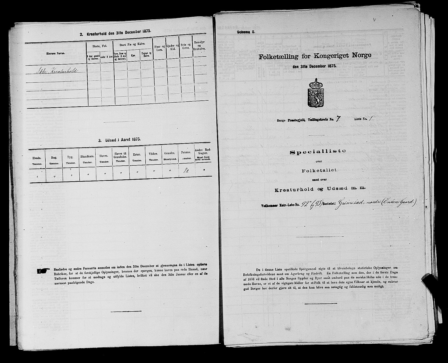 RA, 1875 census for 0113P Borge, 1875, p. 971