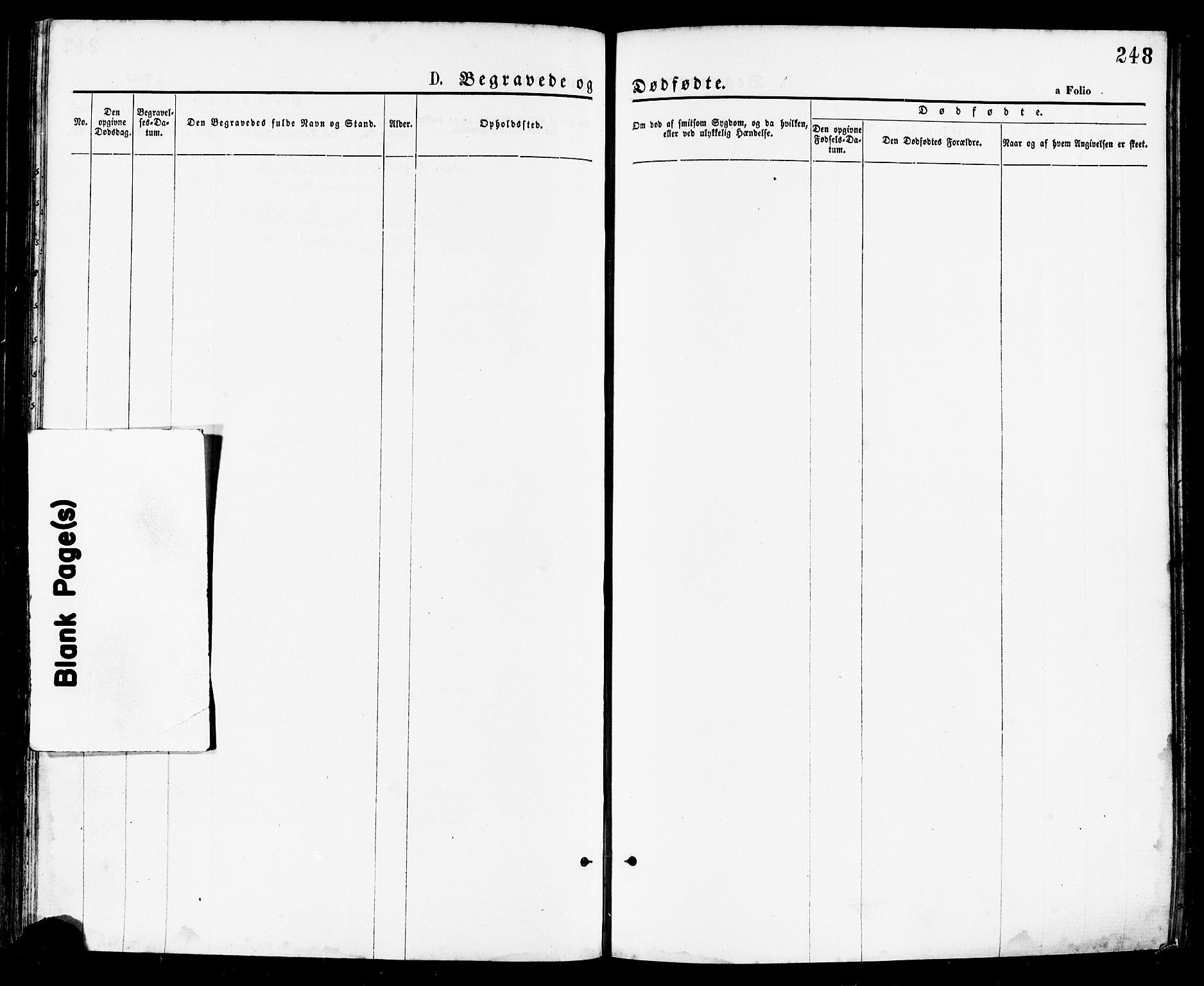 Håland sokneprestkontor, AV/SAST-A-101802/001/30BA/L0009: Parish register (official) no. A 8, 1871-1882, p. 248