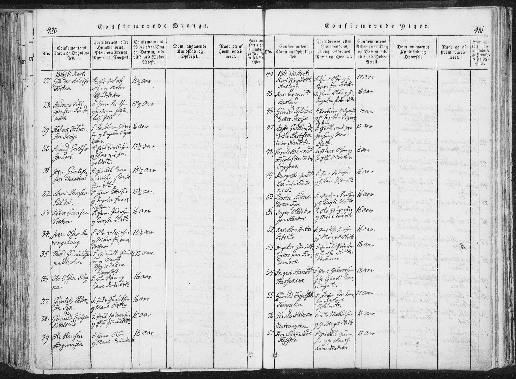 Bø kirkebøker, AV/SAKO-A-257/F/Fa/L0006: Parish register (official) no. 6, 1815-1831, p. 480-481