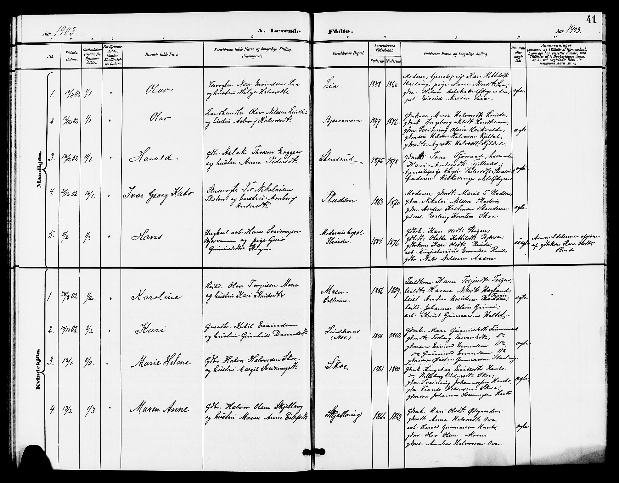 Lunde kirkebøker, SAKO/A-282/G/Ga/L0003: Parish register (copy) no. I 3, 1896-1905, p. 41