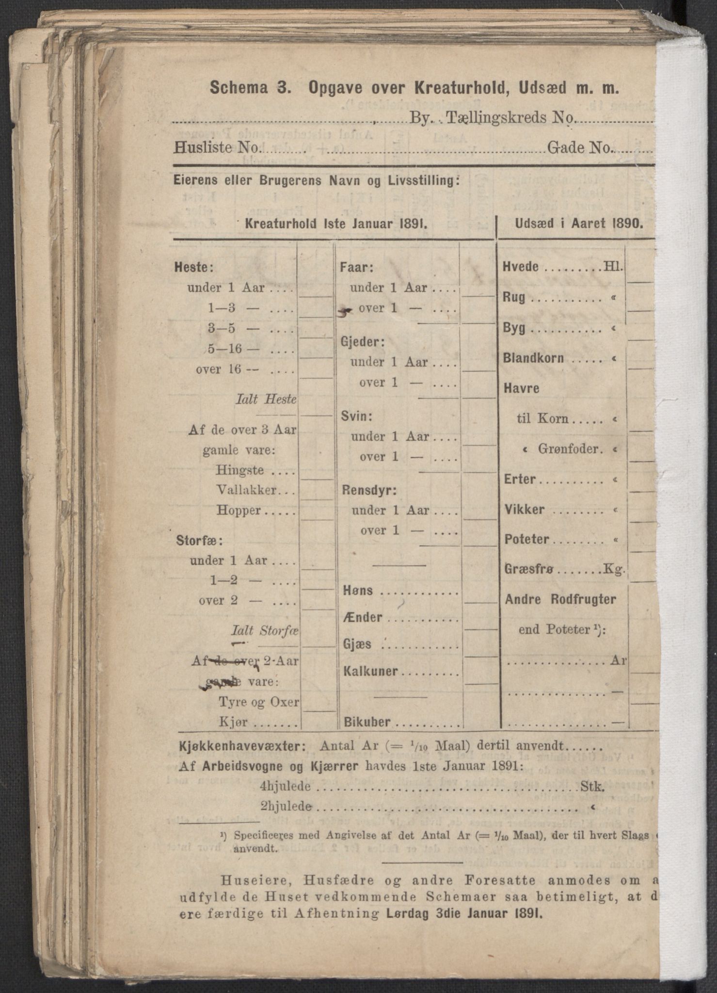 RA, 1891 Census for 1301 Bergen, 1891, p. 1204