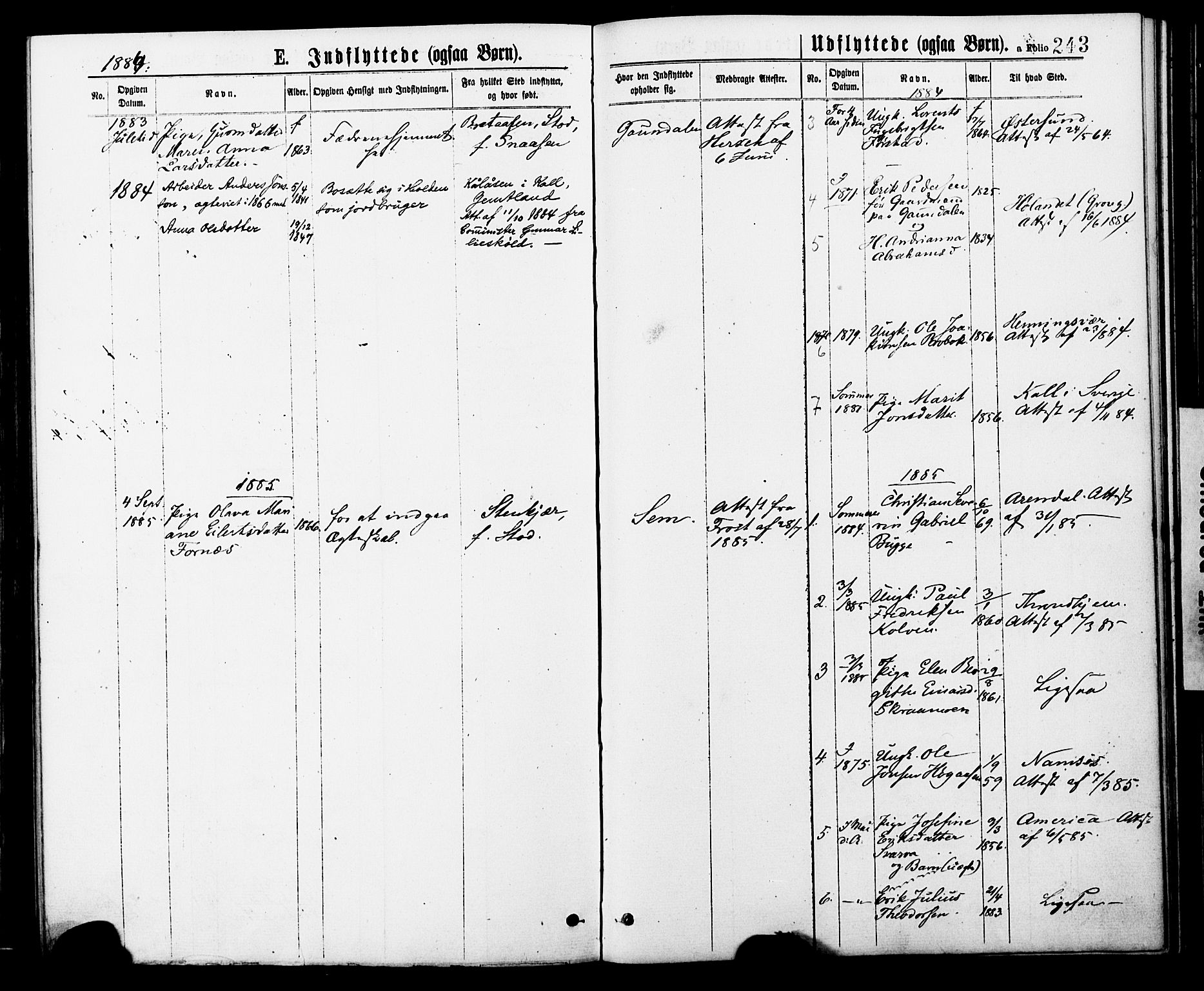 Ministerialprotokoller, klokkerbøker og fødselsregistre - Nord-Trøndelag, SAT/A-1458/749/L0473: Parish register (official) no. 749A07, 1873-1887, p. 243