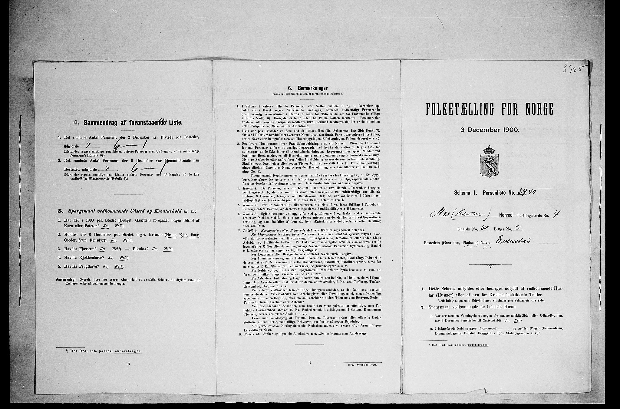 SAH, 1900 census for Nes, 1900, p. 628