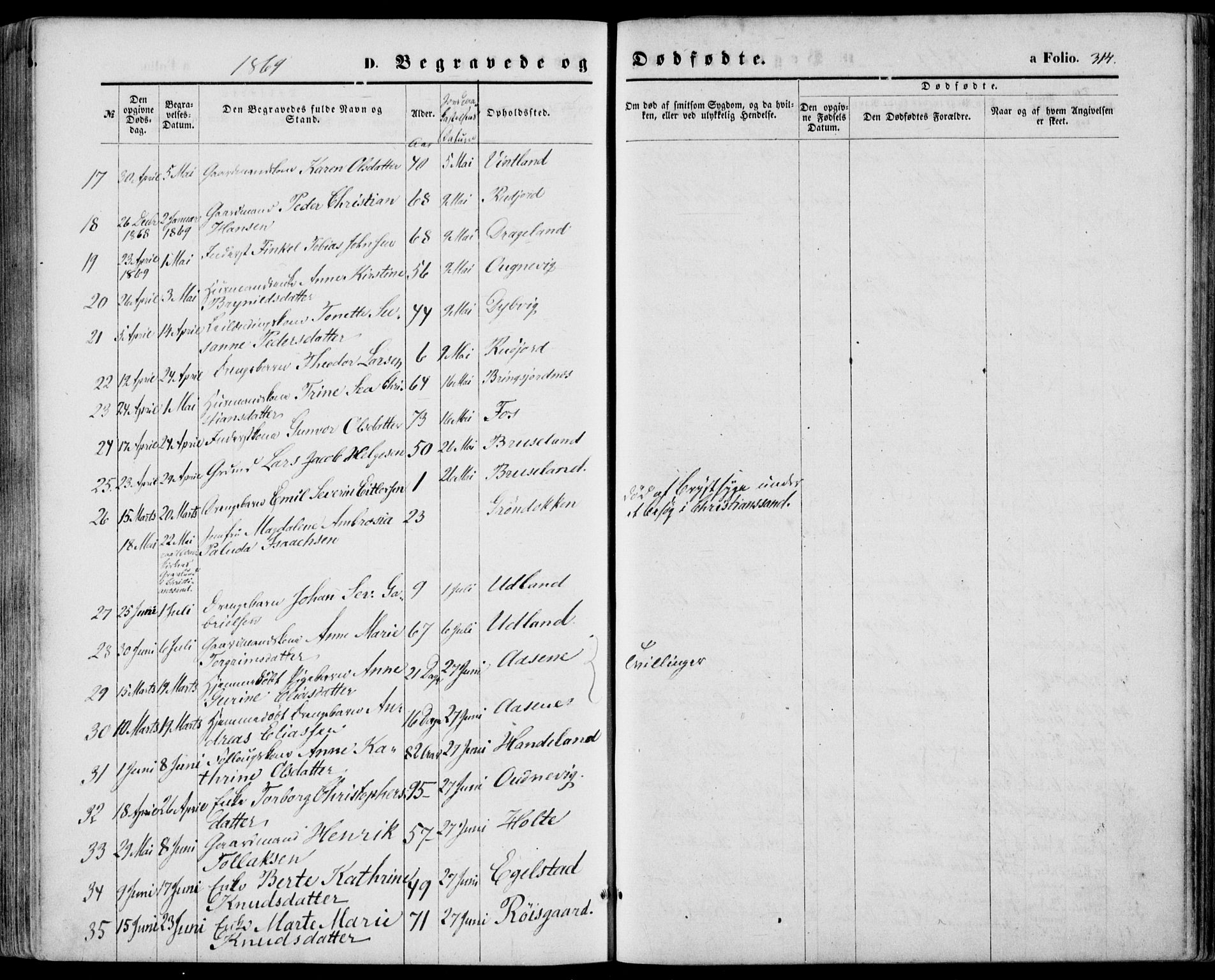 Lyngdal sokneprestkontor, SAK/1111-0029/F/Fa/Fac/L0010: Parish register (official) no. A 10, 1865-1878, p. 314